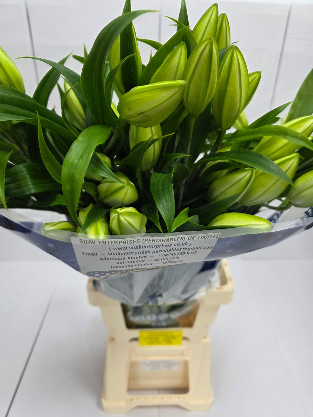 Farm Fresh Lilium Oriental Guapa (Double) 4+1 (Bunch of 10stems,Length 90cm)