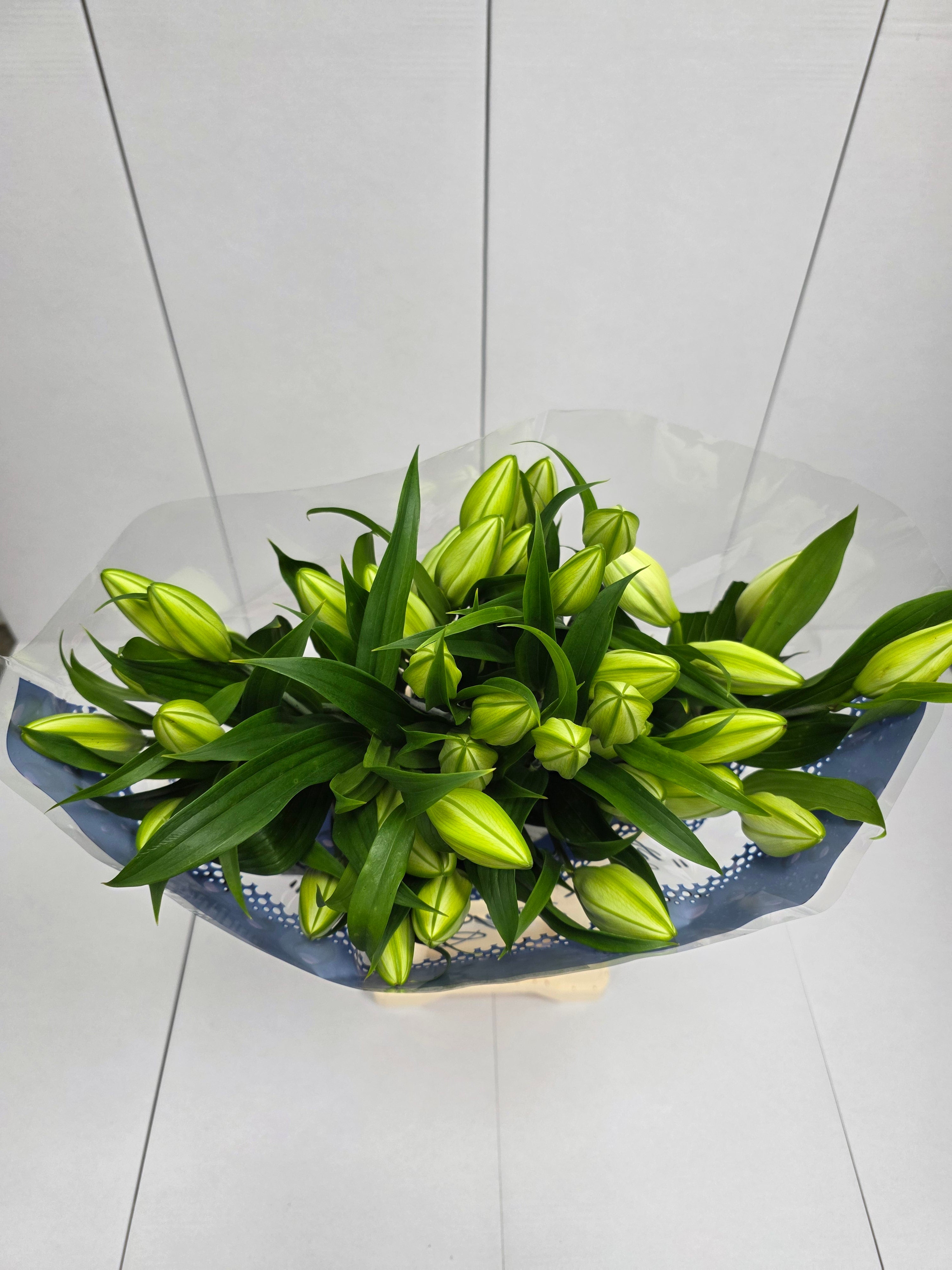 Farm Fresh Lilium Oriental Guapa (Double) 4+1 (Bunch of 10stems,Length 90cm)