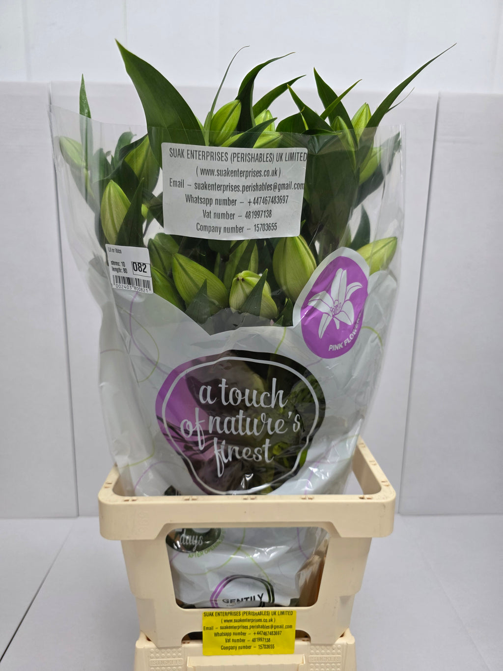 Farm Fresh Lilium Oriental ibiza 3+(Bunch of 10stems,Length 80cm)