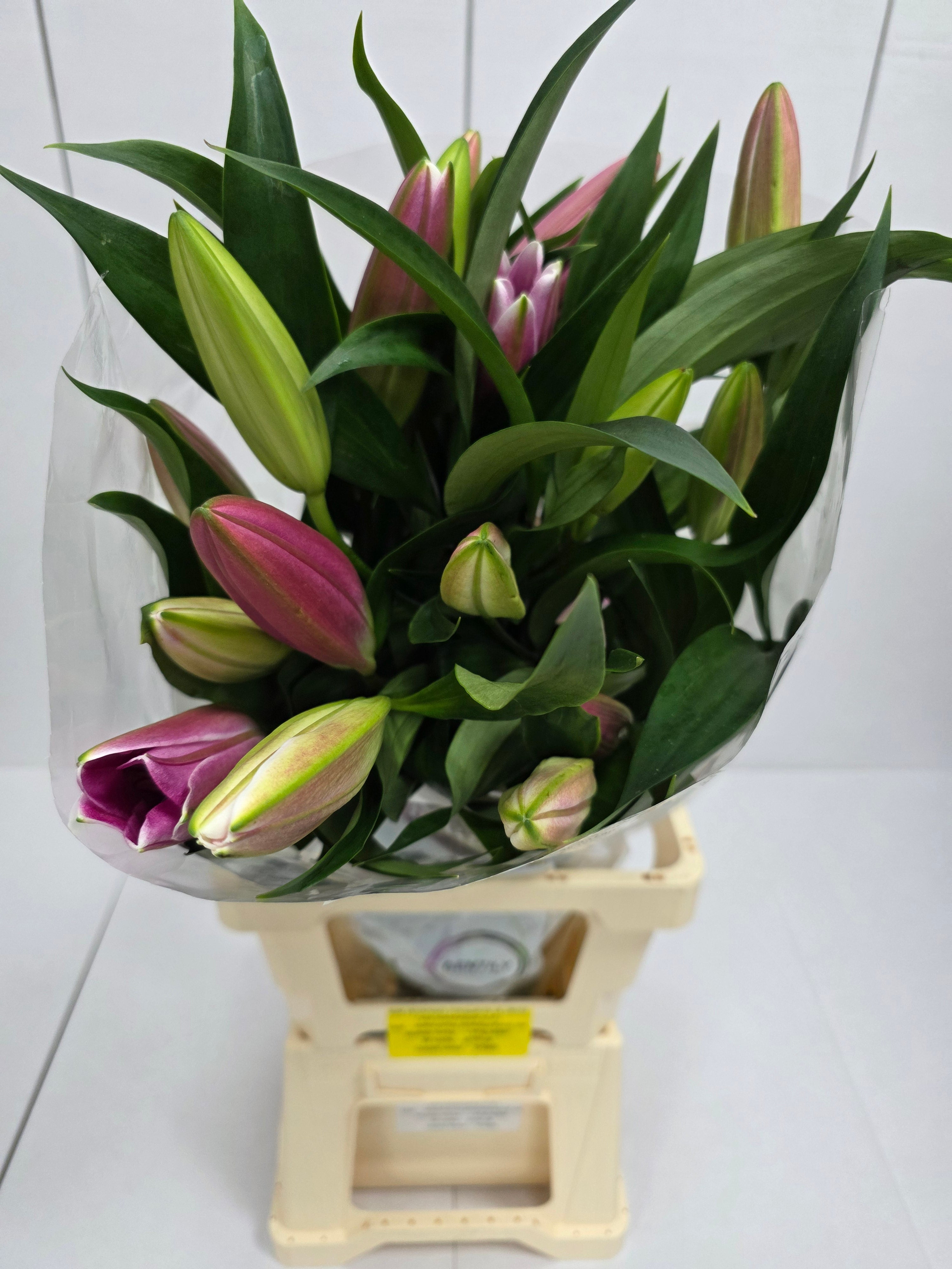 Farm Fresh Lilium Oriental Robina 2+(Bunch of 10stems,Length 80cm)