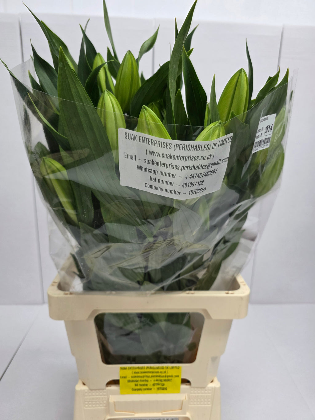 Farm Fresh Lilium Oriental Santander 2+(Bunch of 10stems,Length 75cm)