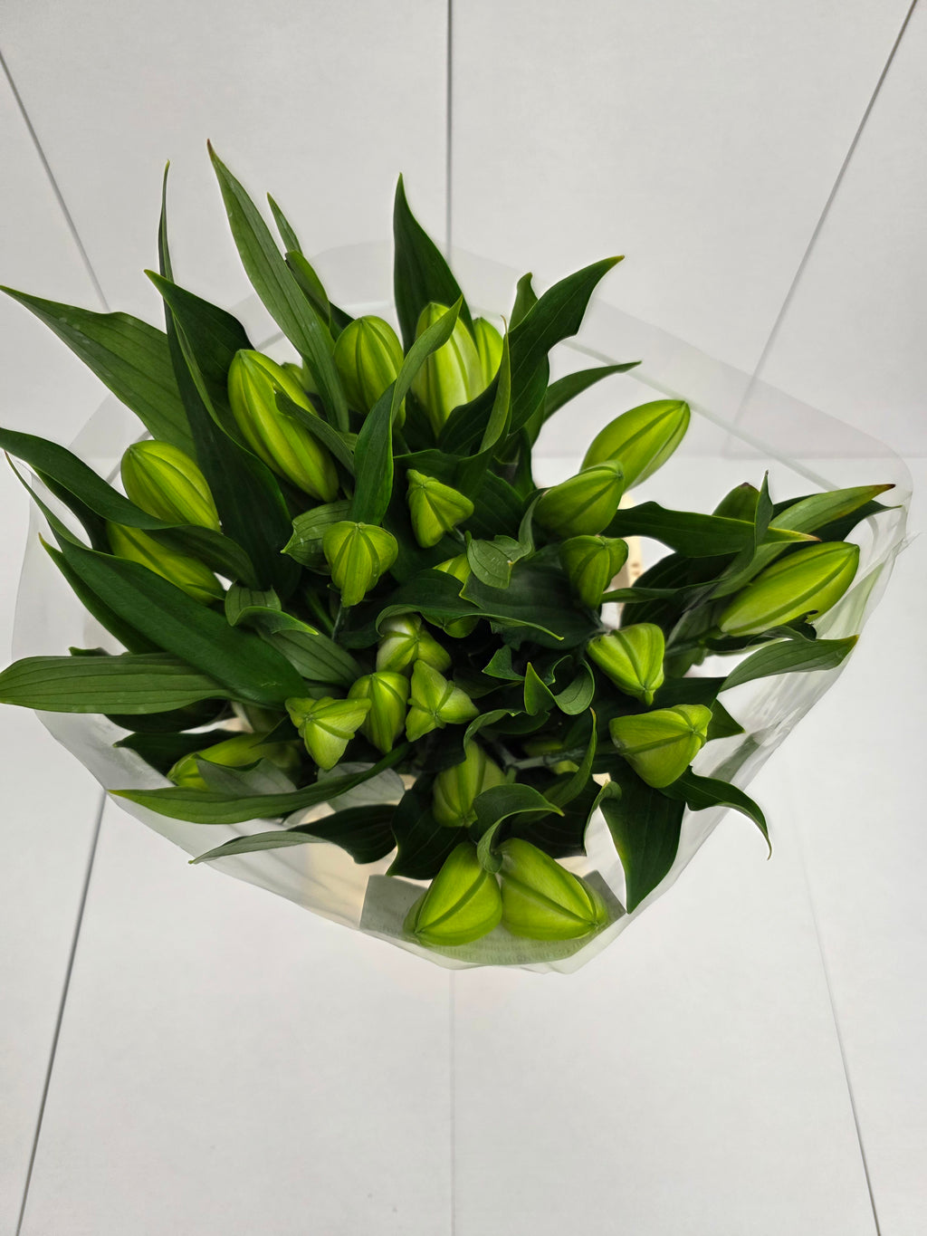 Farm Fresh Lilium Oriental Santander 2+(Bunch of 10stems,Length 75cm)