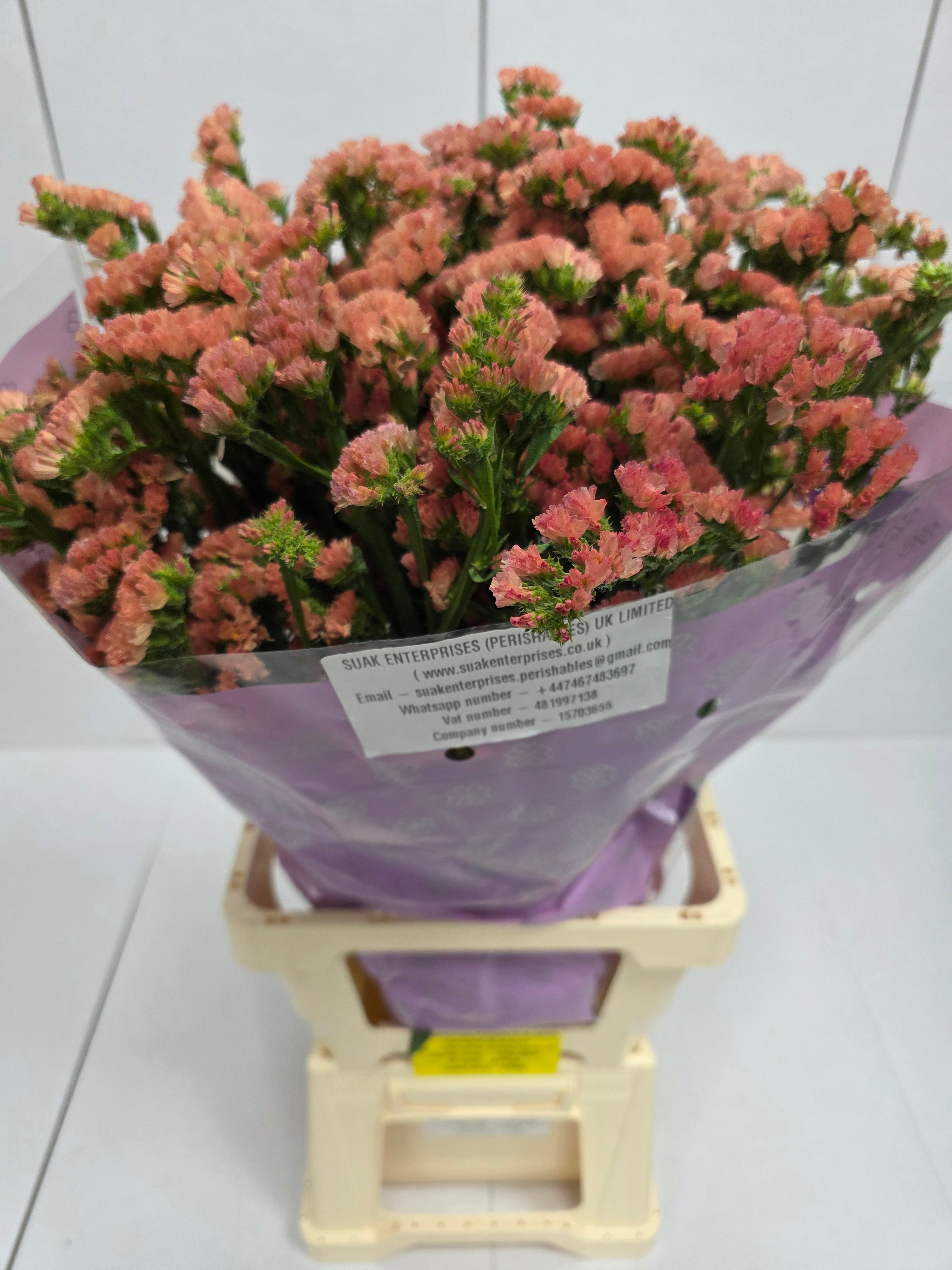 Farm Fresh Limonium Sinuatum Royal Orange (Bunch of 25 stems, Length 80cm)