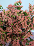 Farm Fresh Limonium Sinuatum Royal Orange (Bunch of 25 stems, Length 80cm)