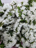 Farm Fresh Limonium Sinuatum Silvery Sun Birds (Bunch of 25 stems, Length 70cm)