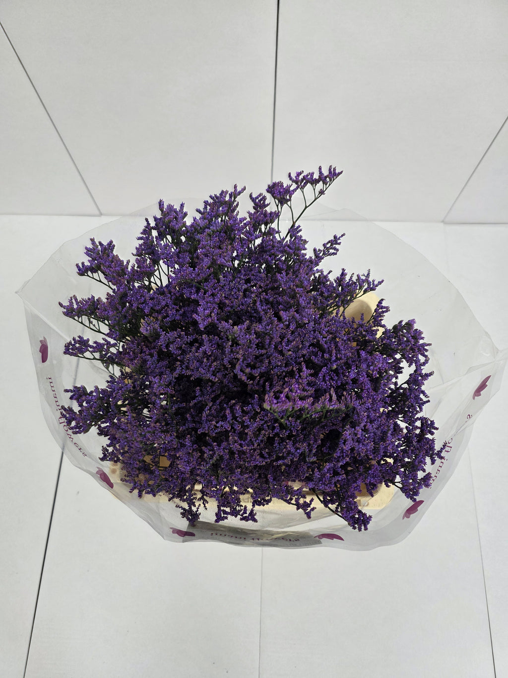 Farm Fresh Limonium Sinuatum Shooting Star(Bunch of 25 stems, Length 60cm)