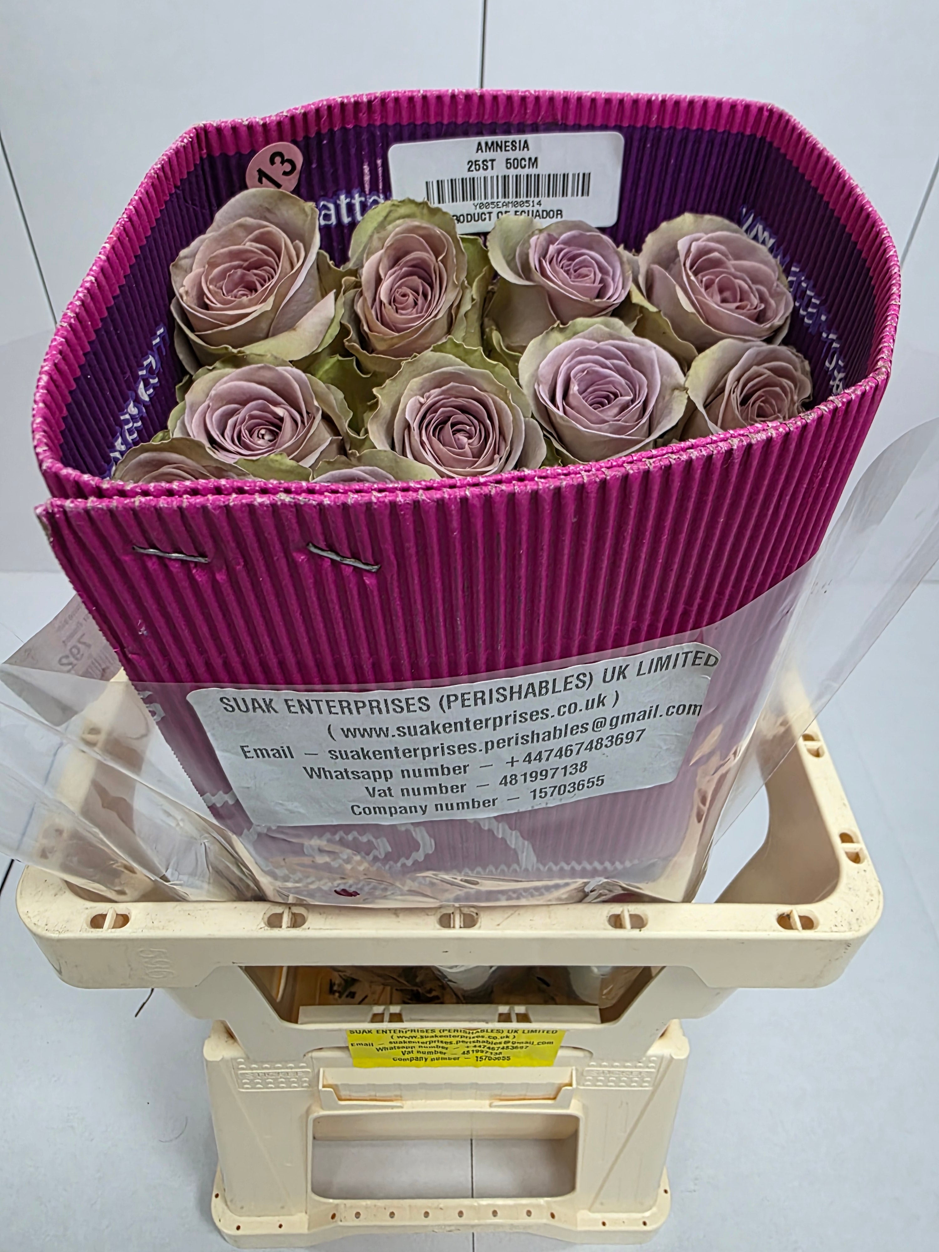 Farm Fresh Rosa Ecuadorian Gr Amnesia( Bunch of 25 stems, Length 50cm)