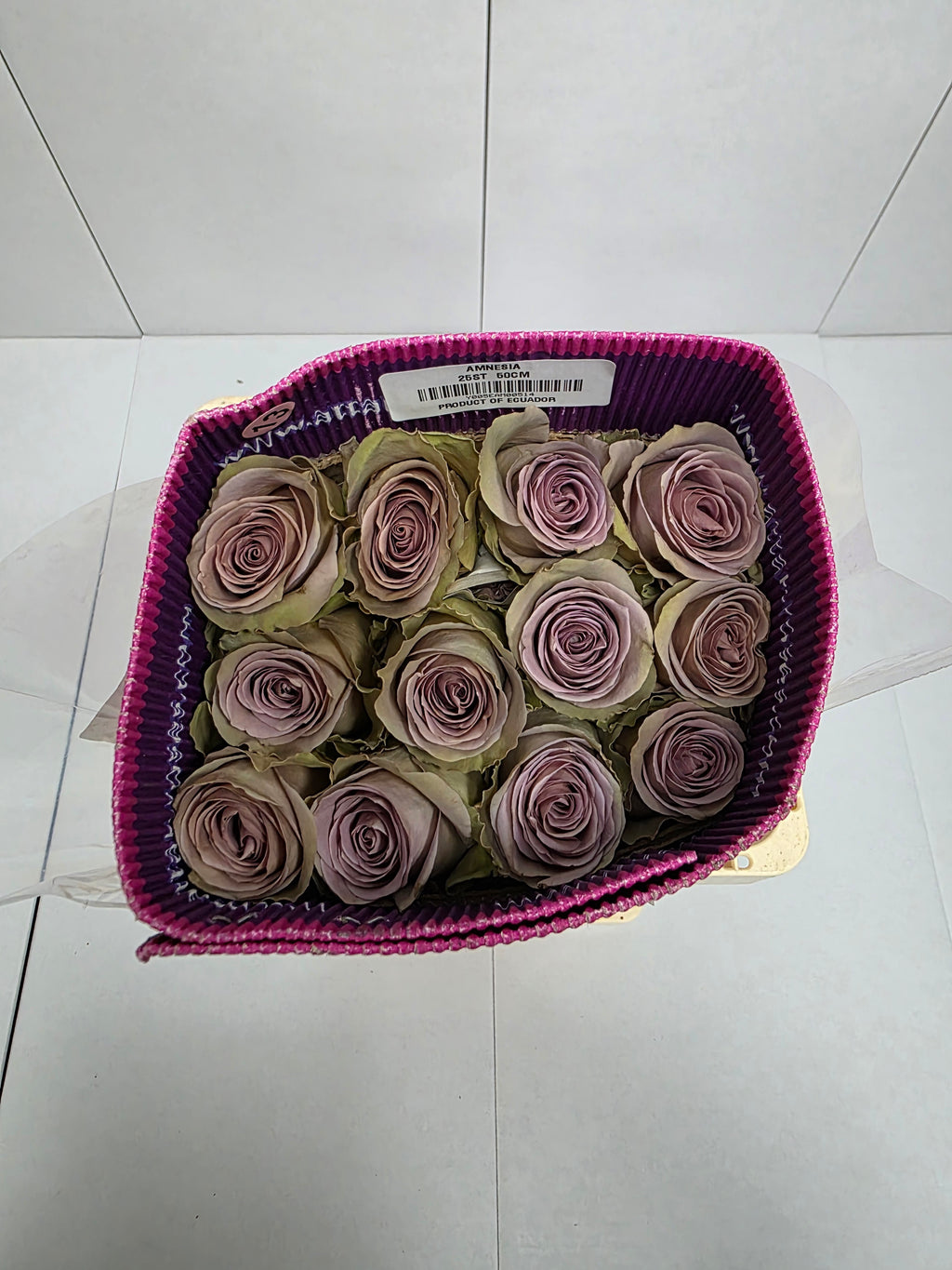 Farm Fresh Rosa Ecuadorian Gr Amnesia( Bunch of 25 stems, Length 50cm)
