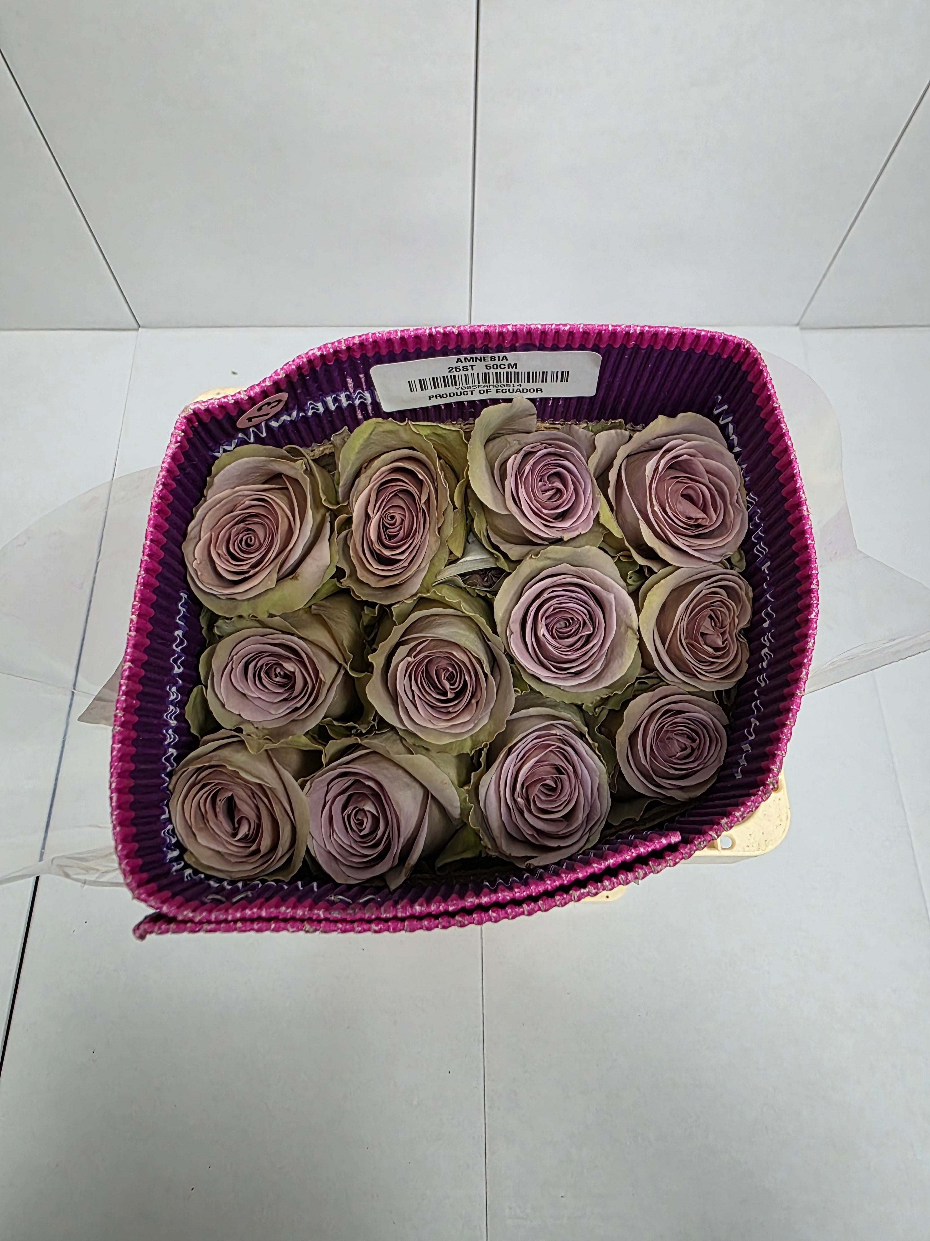 Farm Fresh Rosa Ecuadorian Gr Amnesia( Bunch of 25 stems, Length 50cm)