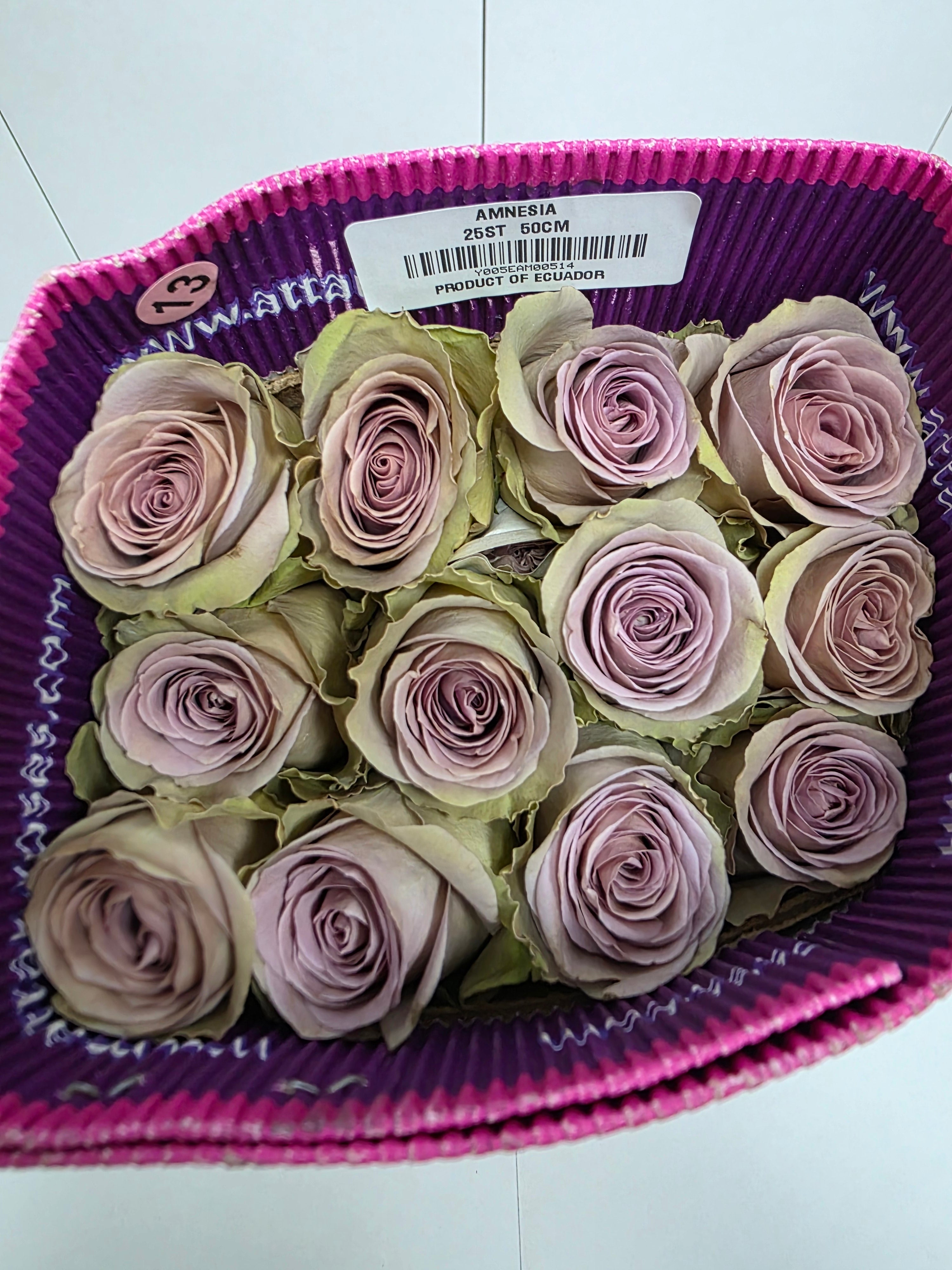 Farm Fresh Rosa Ecuadorian Gr Amnesia( Bunch of 25 stems, Length 50cm)