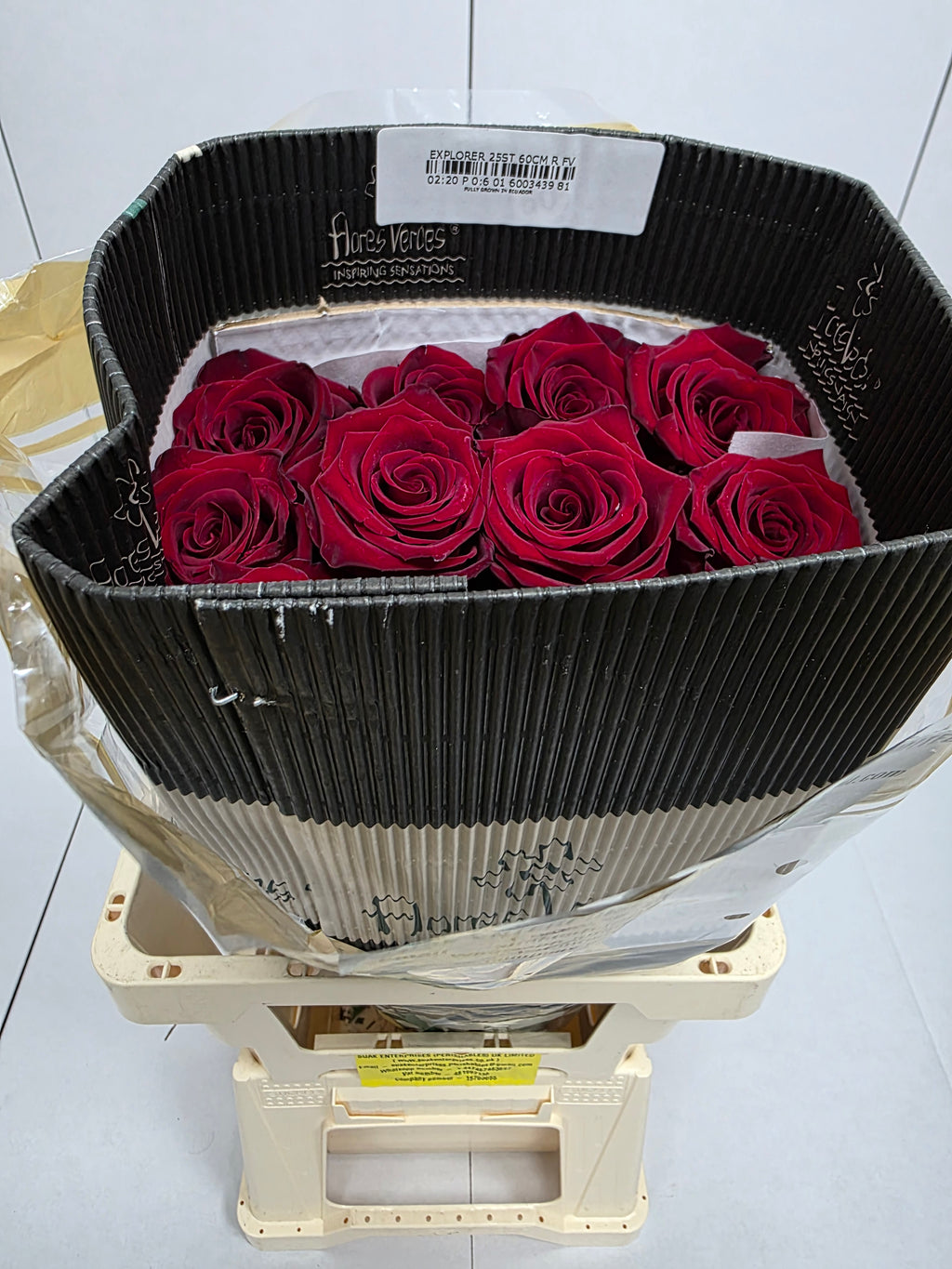 Farm Fresh Rosa Ecuadorian Gr Explorer (Bunch of 25 stems, Length 60cm)