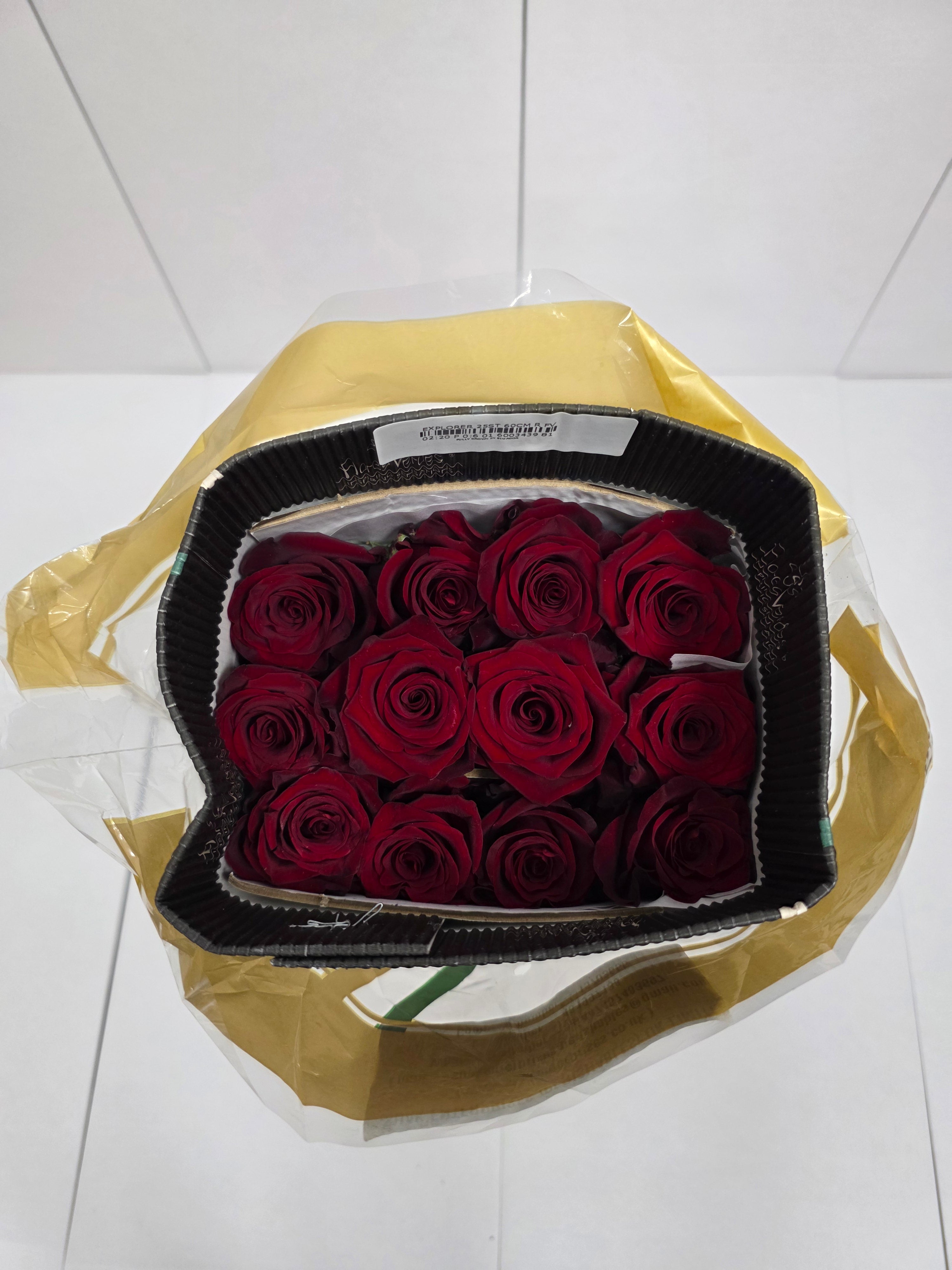Farm Fresh Rosa Ecuadorian Gr Explorer (Bunch of 25 stems, Length 60cm)