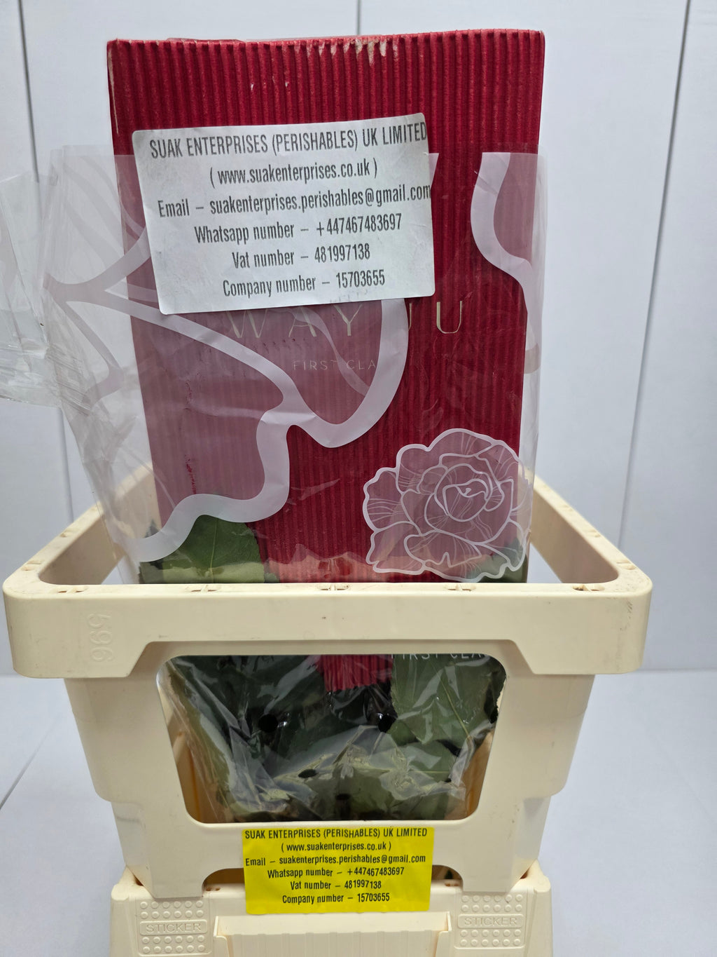 Farm Fresh Rosa Ecuadorian Gr Freedom 50cm (Bunch of 25 stems, Length 50cm)