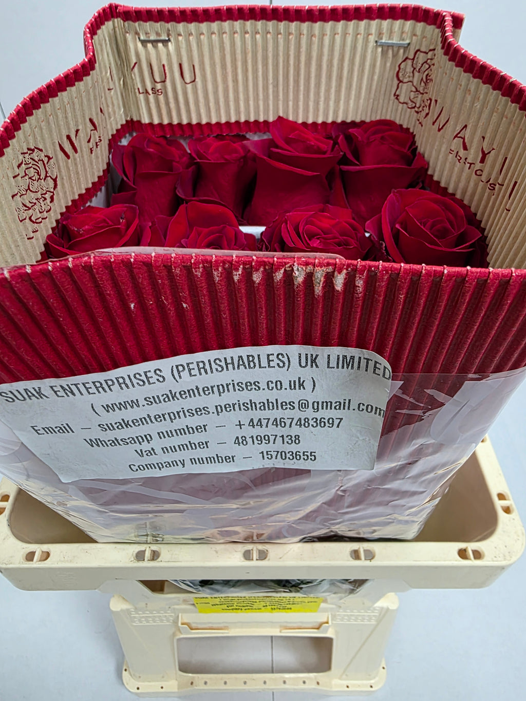 Farm Fresh Rosa Ecuadorian Gr Freedom 50cm (Bunch of 25 stems, Length 50cm)