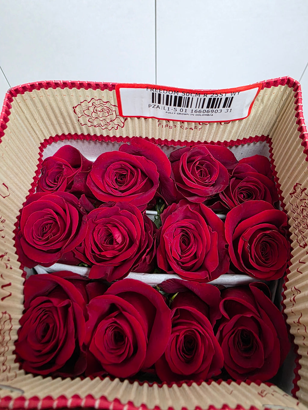 Farm Fresh Rosa Ecuadorian Gr Freedom 50cm (Bunch of 25 stems, Length 50cm)