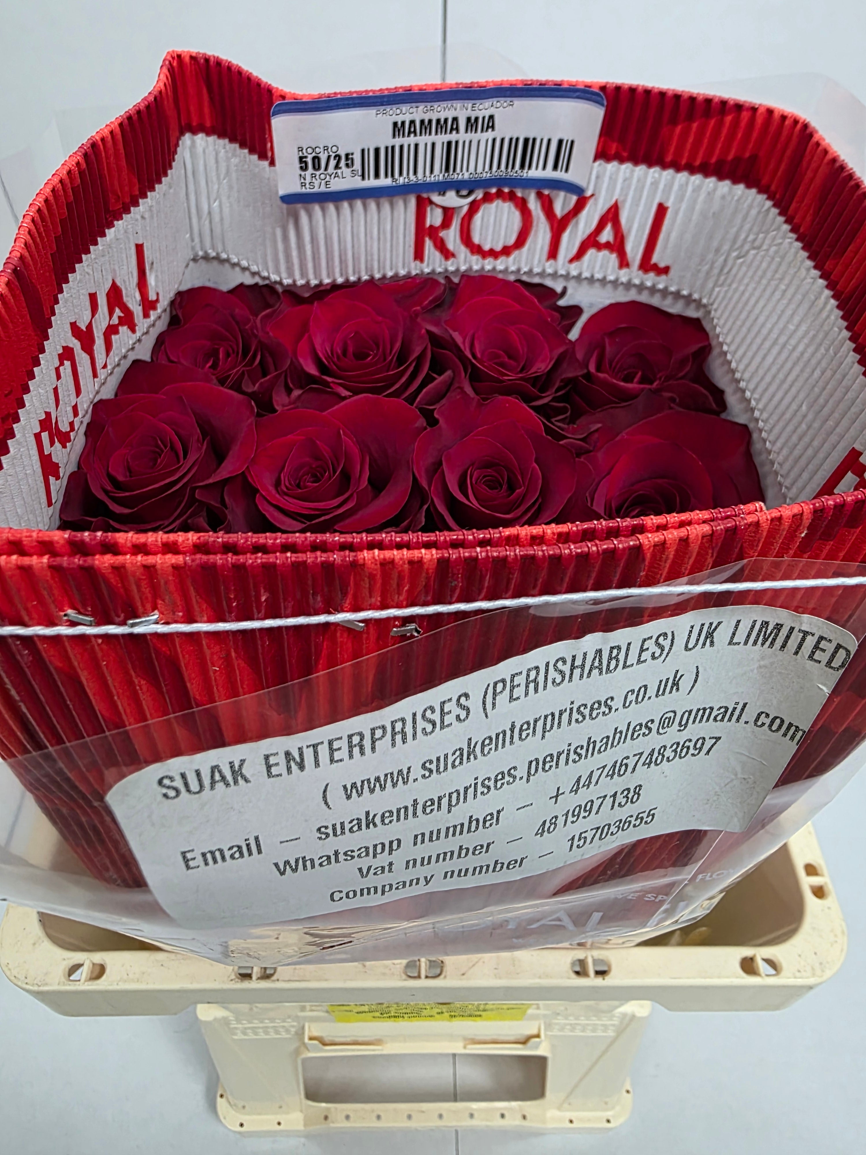 Farm Fresh Rosa Ec Gr Mamma Mia  (Bunch of 25 stems, Length 50cm)