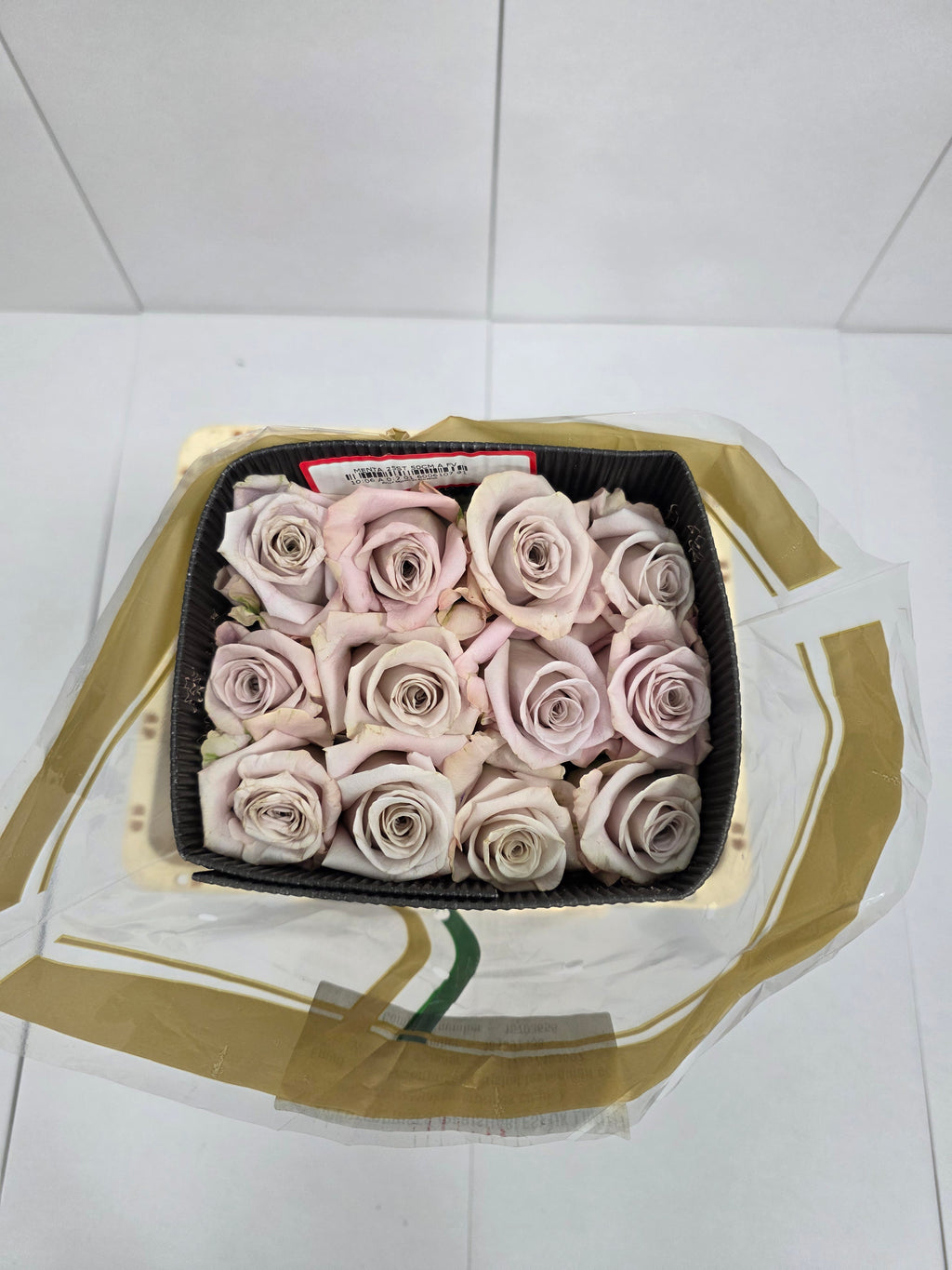 Farm Fresh Rosa Ec Gr Menta (Bunch of 25 stems, Length 50cm)