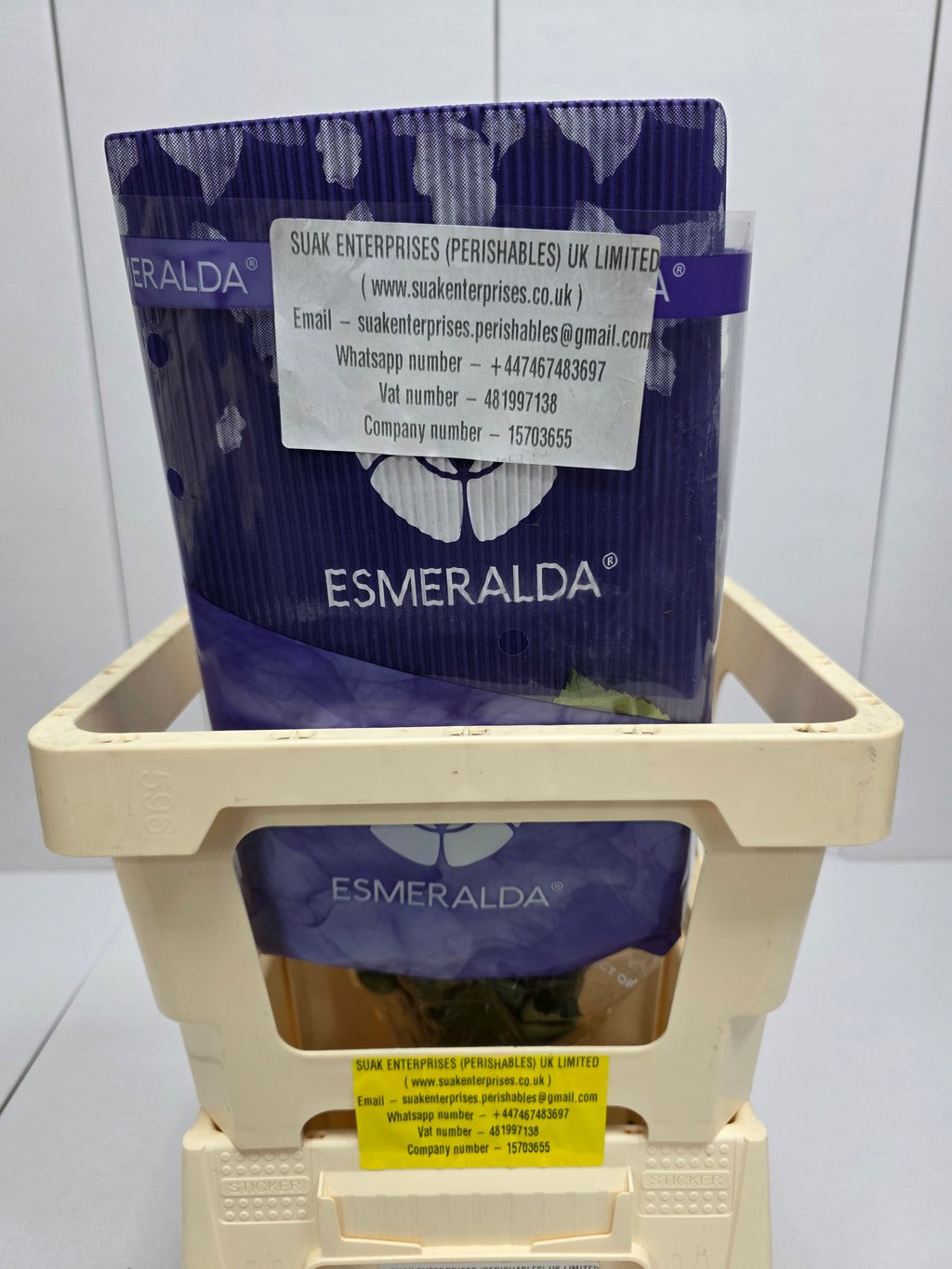 Farm Fresh Rosa Ecuadorian Gr opala (Bunch of 25 stems, Length 50cm)