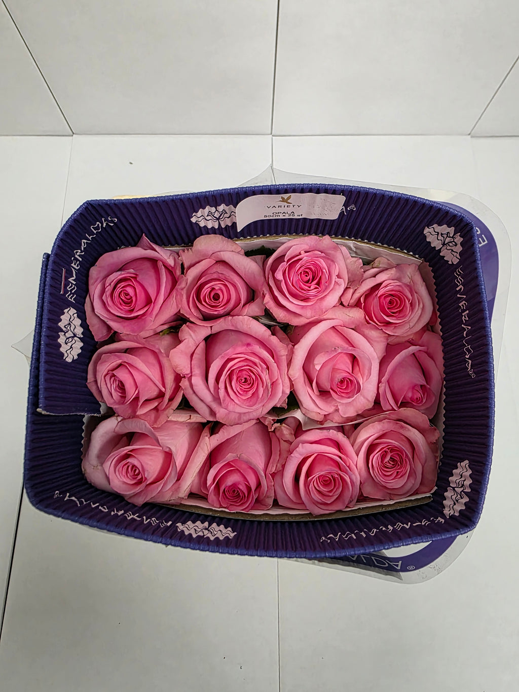 Farm Fresh Rosa Ecuadorian Gr opala (Bunch of 25 stems, Length 50cm)