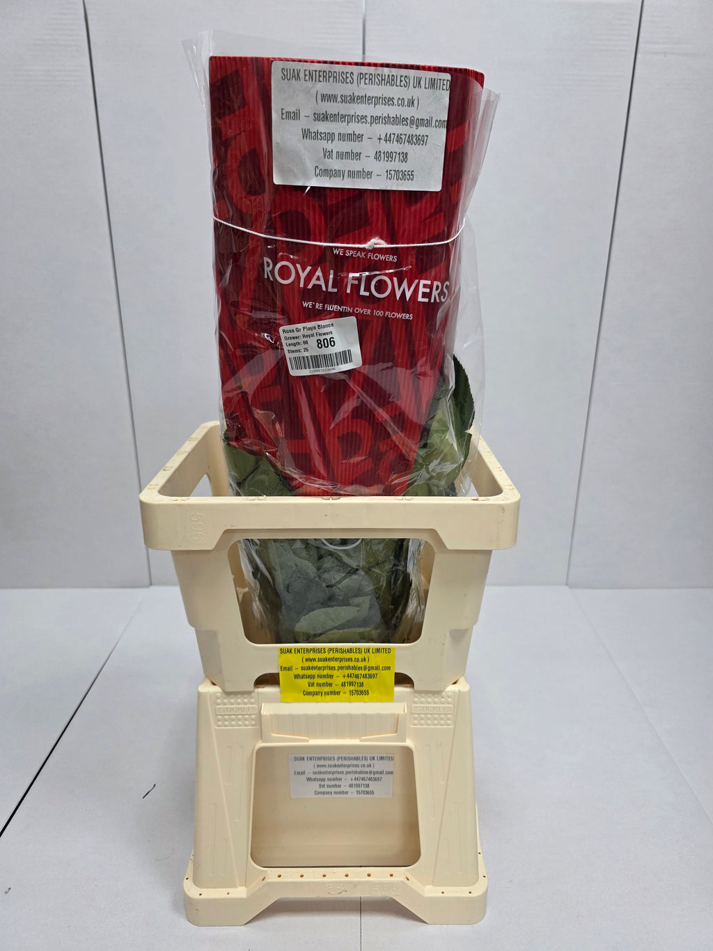 Farm Fresh Rosa Ecuadorian Gr Playa Blanca  (Bunch of 25 stems, Length 60cm)