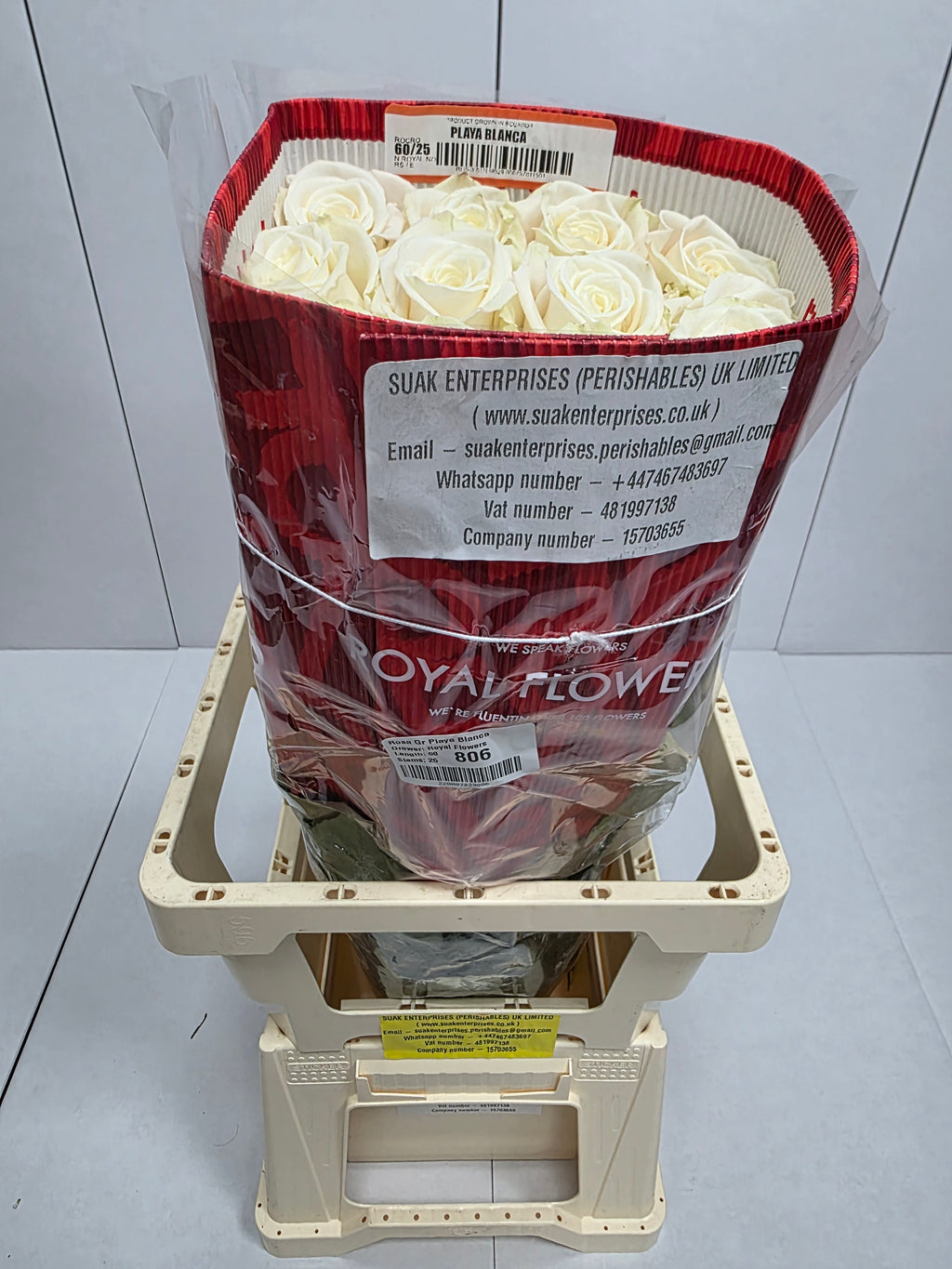 Farm Fresh Rosa Ecuadorian Gr Playa Blanca  (Bunch of 25 stems, Length 60cm)