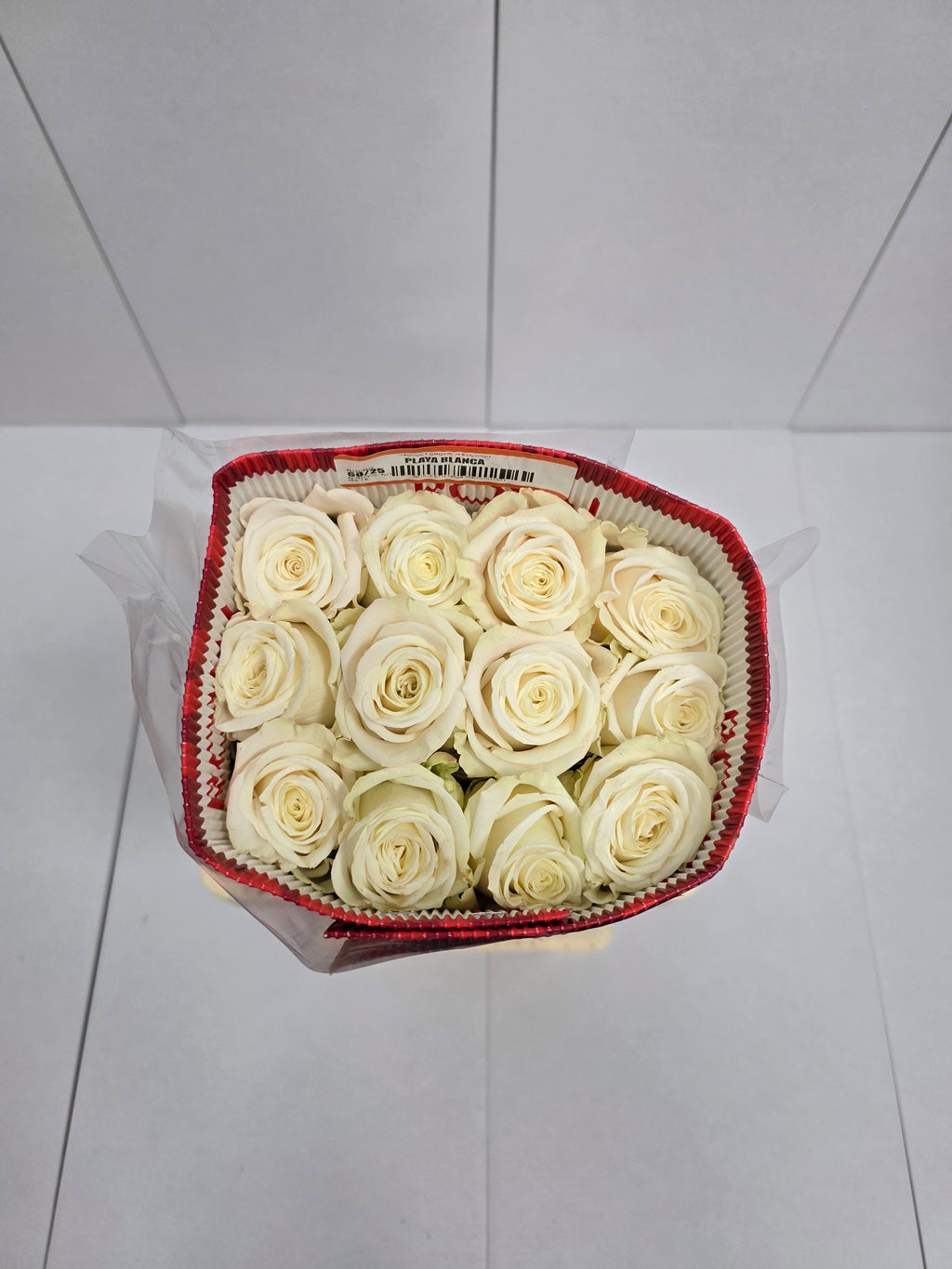 Farm Fresh Rosa Ecuadorian Gr Playa Blanca  (Bunch of 25 stems, Length 60cm)