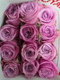 Farm Fresh Rosa Ecuadorian Gr Queens Crown (Bunch of 25 stems, Length 60cm)