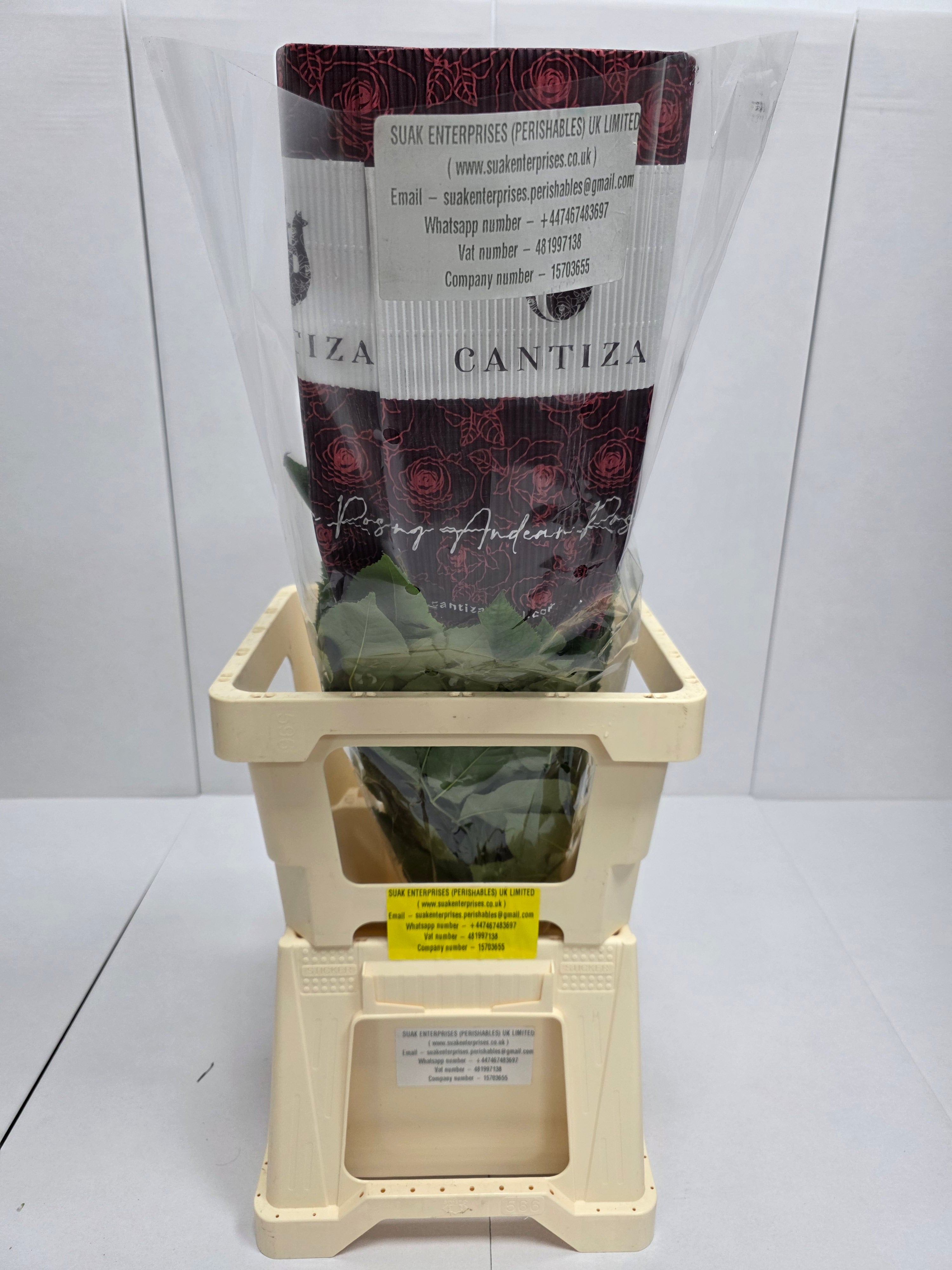 Farm Fresh Rosa Ecuadorian Gr Super Sun(Bunch of 25 stems, Length 60cm)