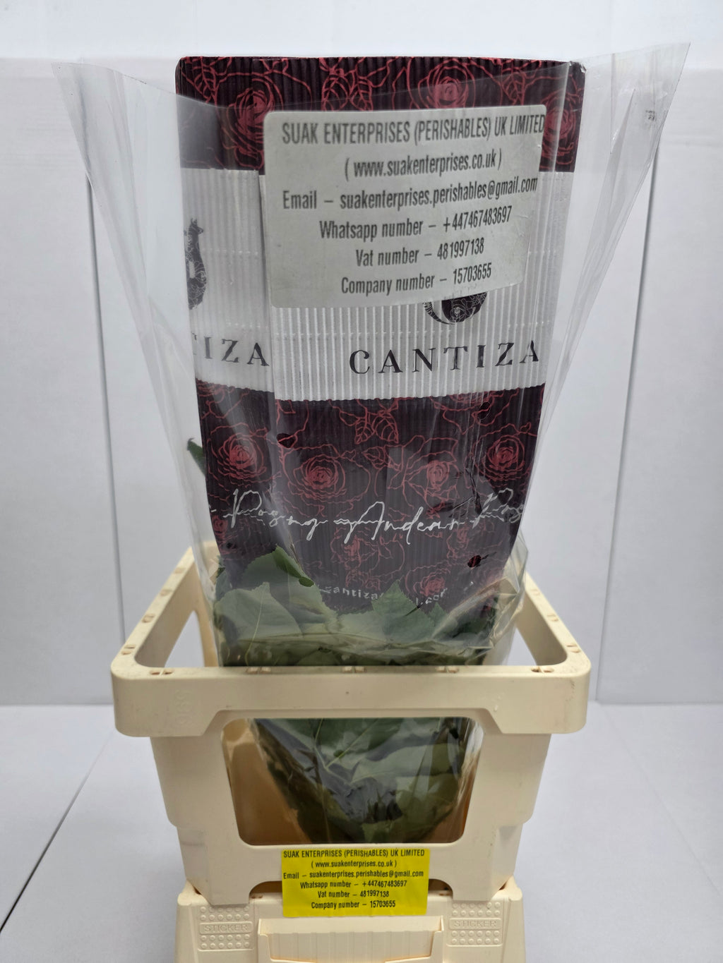Farm Fresh Rosa Ecuadorian Gr Super Sun(Bunch of 25 stems, Length 60cm)