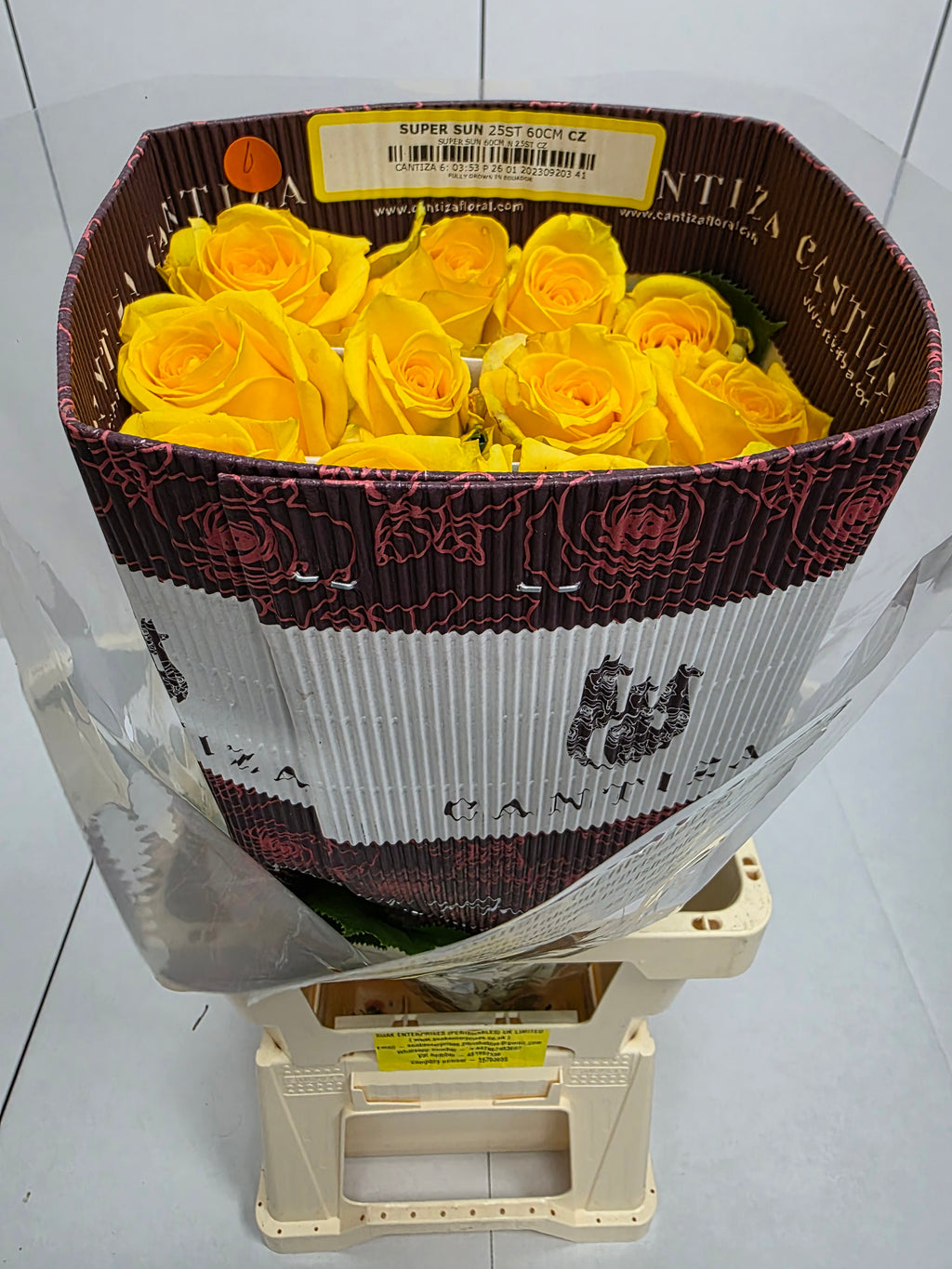 Farm Fresh Rosa Ecuadorian Gr Super Sun(Bunch of 25 stems, Length 60cm)