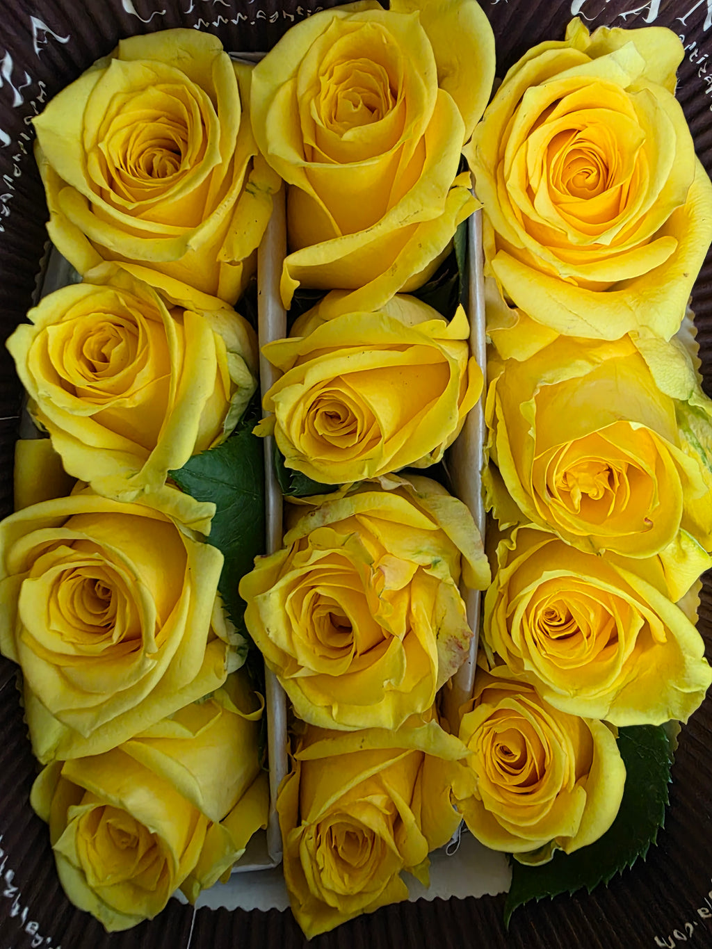 Farm Fresh Rosa Ecuadorian Gr Super Sun(Bunch of 25 stems, Length 60cm)