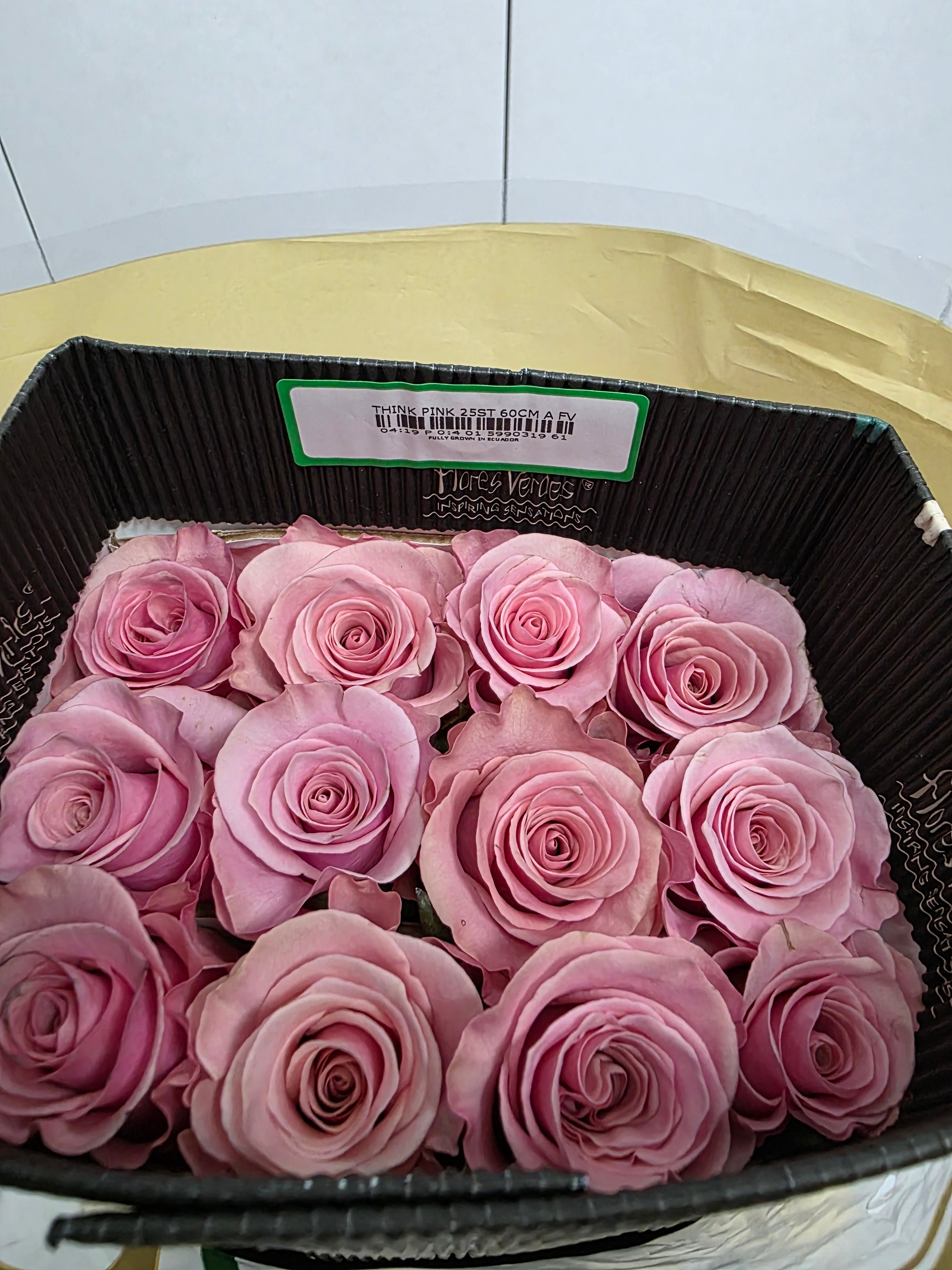 Farm Fresh Rosa Ecuadorian Gr Think Pink  (Bunch of 25 stems, Length 60cm)