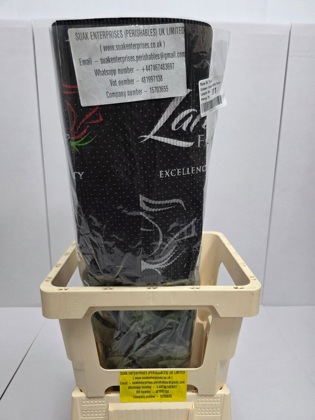 Farm Fresh Rosa Ecuadorian Gr Tycoon  (Bunch of 25 stems, Length 60cm)