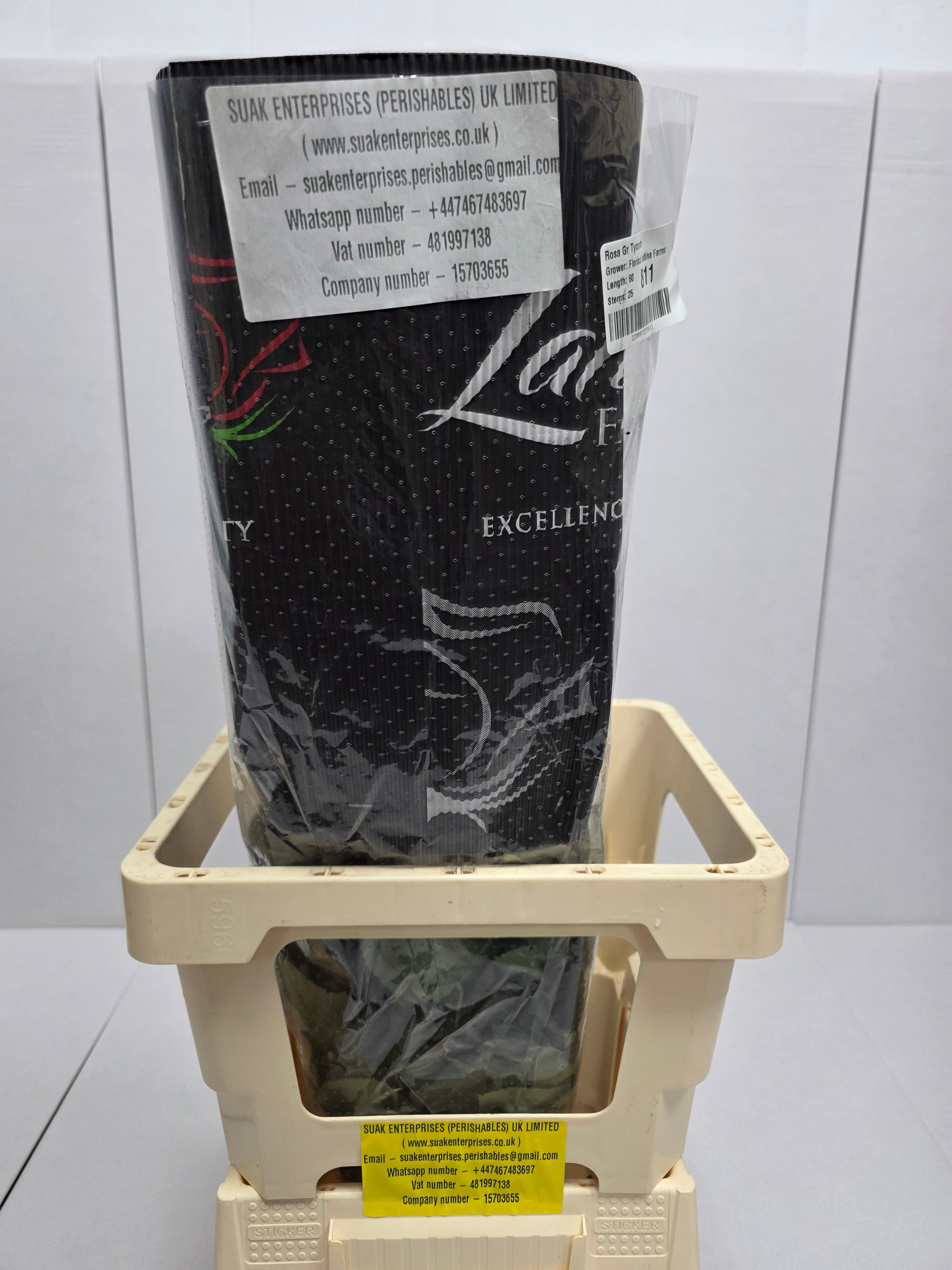 Farm Fresh Rosa Ecuadorian Gr Tycoon  (Bunch of 25 stems, Length 60cm)
