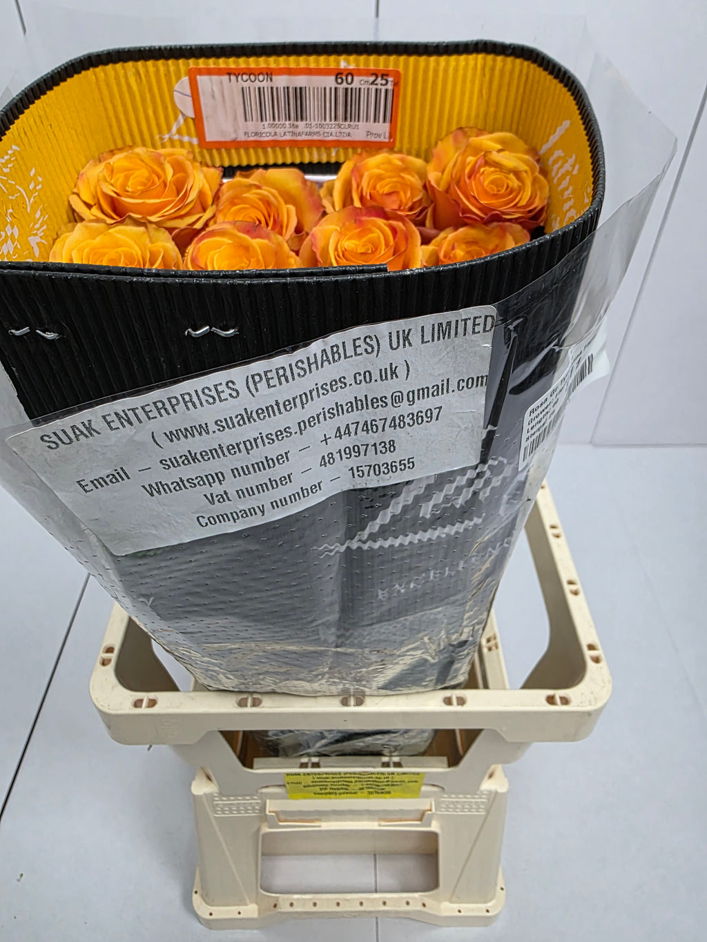 Farm Fresh Rosa Ecuadorian Gr Tycoon  (Bunch of 25 stems, Length 60cm)