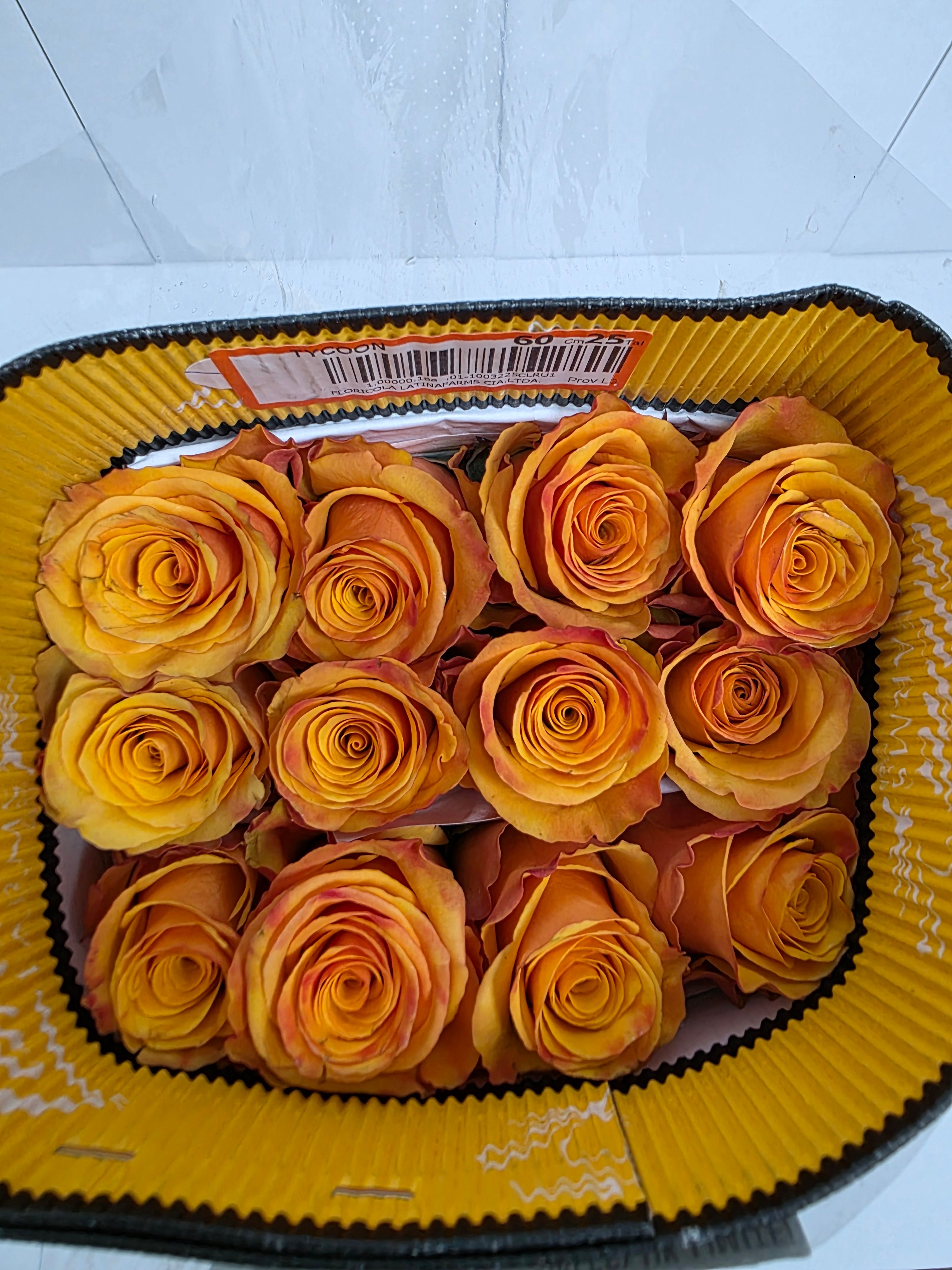 Farm Fresh Rosa Ecuadorian Gr Tycoon  (Bunch of 25 stems, Length 60cm)