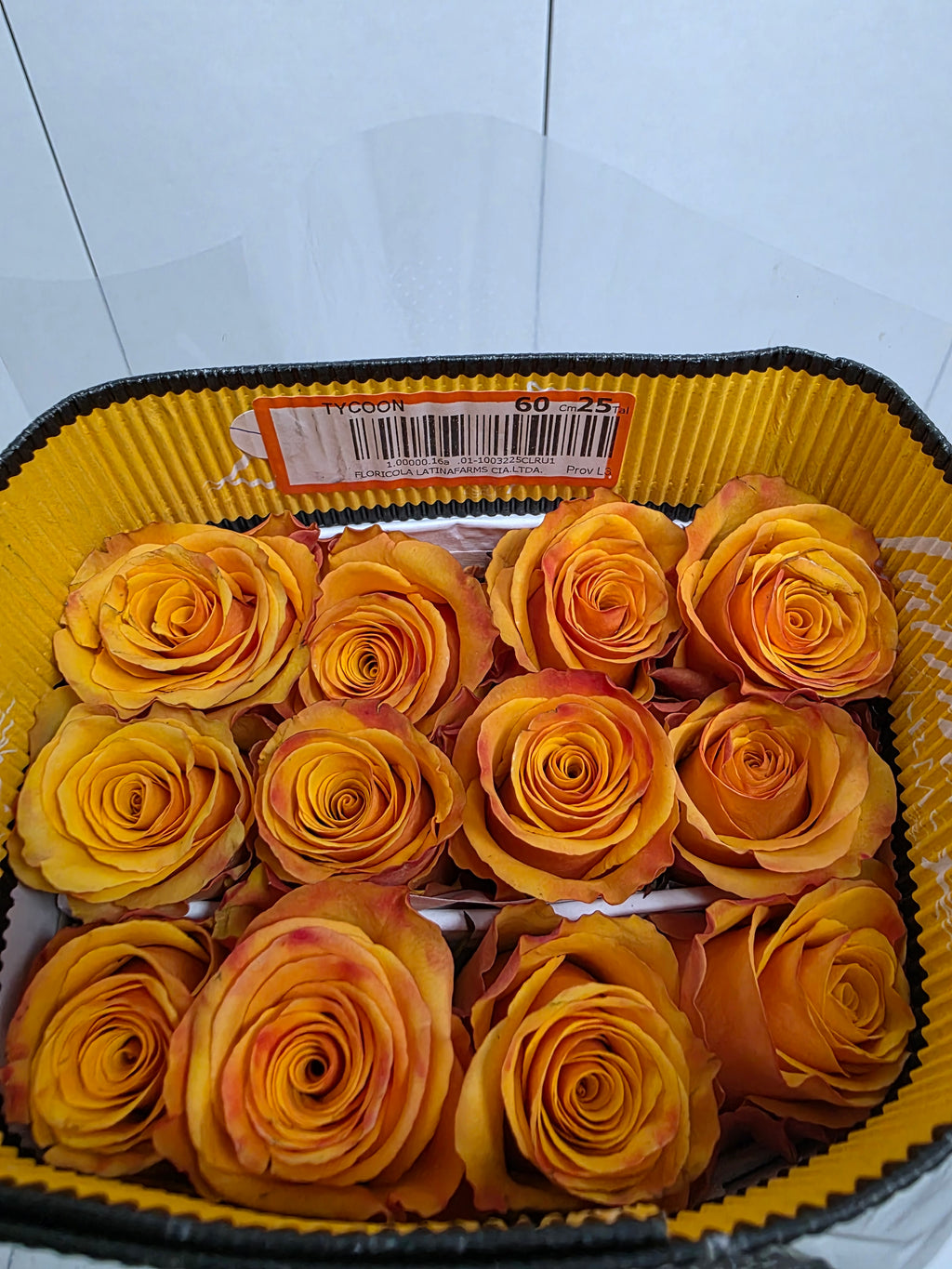 Farm Fresh Rosa Ecuadorian Gr Tycoon  (Bunch of 25 stems, Length 60cm)