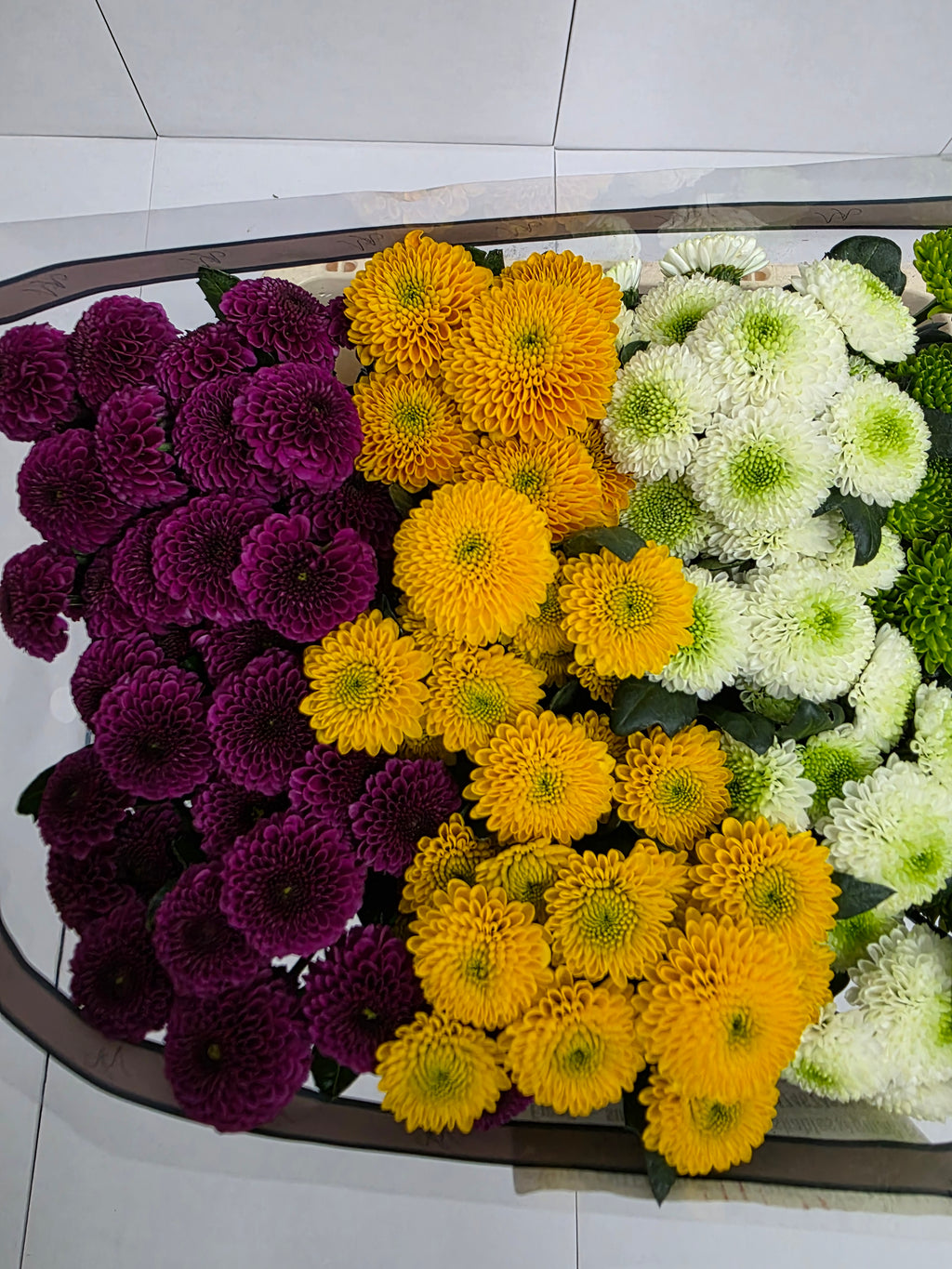 Farm Fresh Santini Pompoen Mixed (Bunch of 25 stems, Length 55cm)