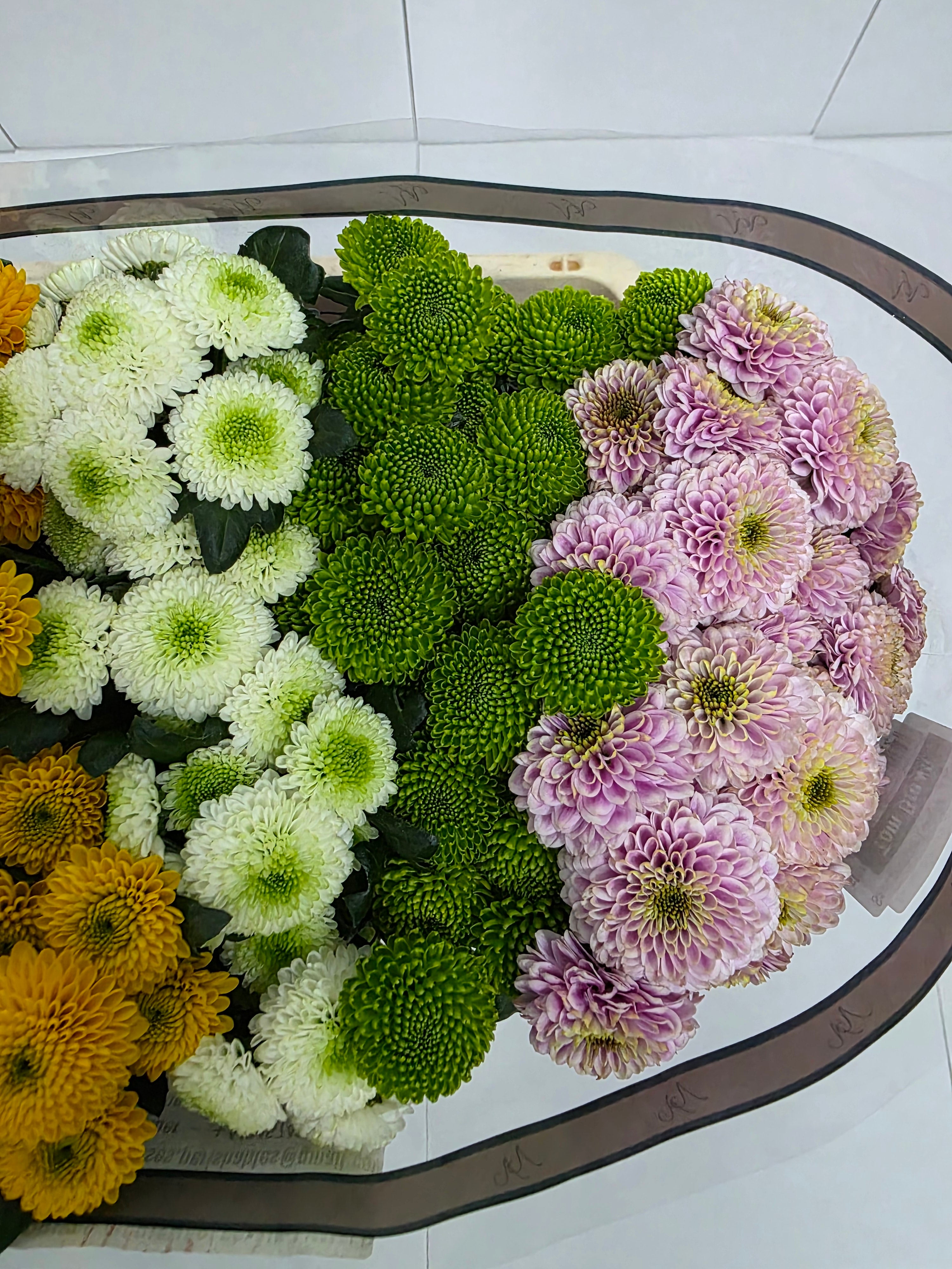 Farm Fresh Santini Pompoen Mixed (Bunch of 25 stems, Length 55cm)