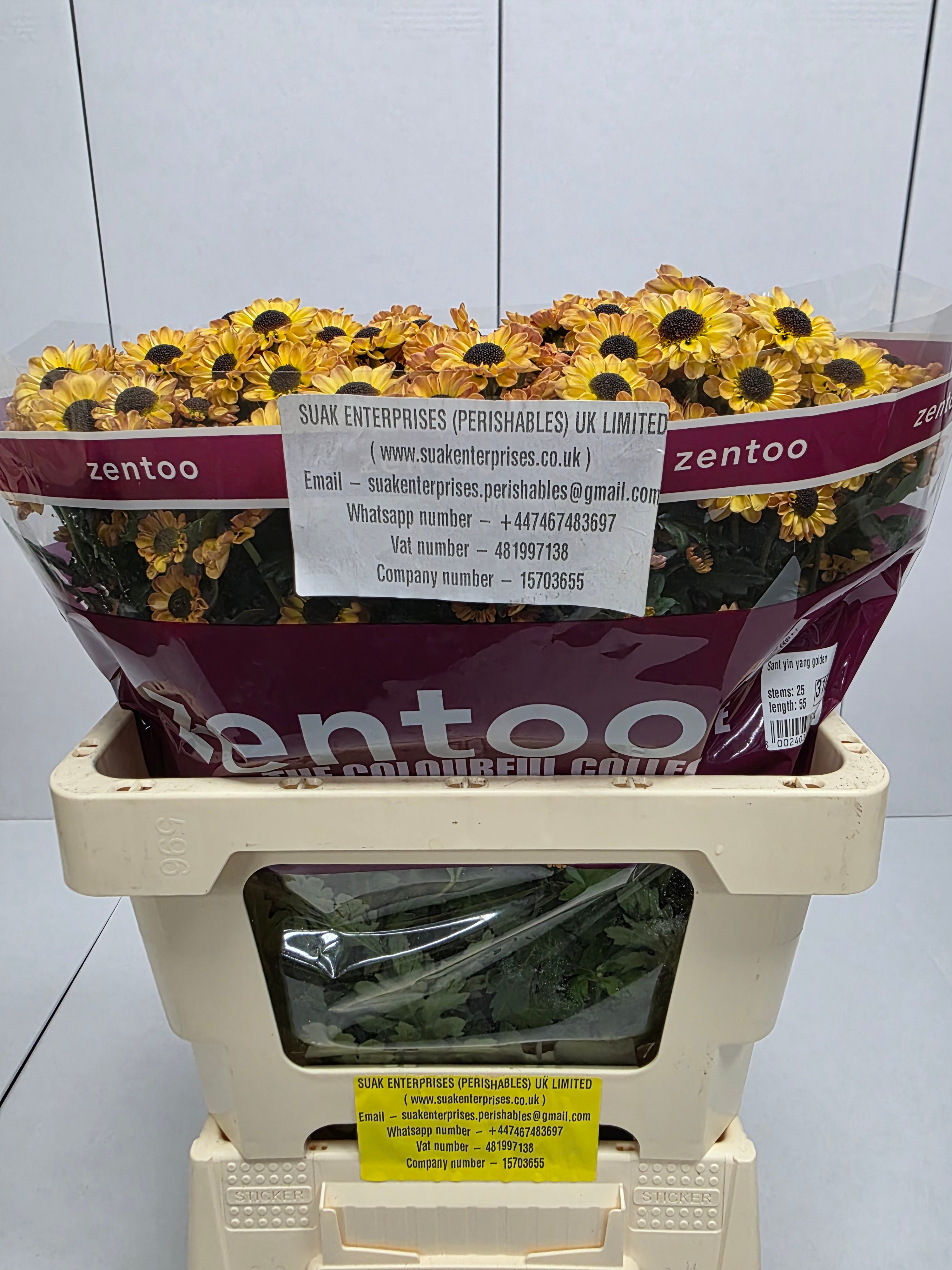 Farm Fresh Santini Yin Yang Golden (Bunch of 25 stems, Length 55cm)