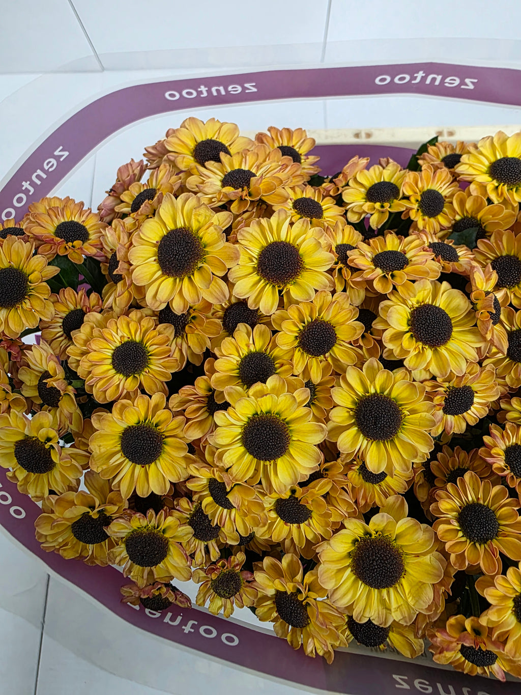 Farm Fresh Santini Yin Yang Golden (Bunch of 25 stems, Length 55cm)