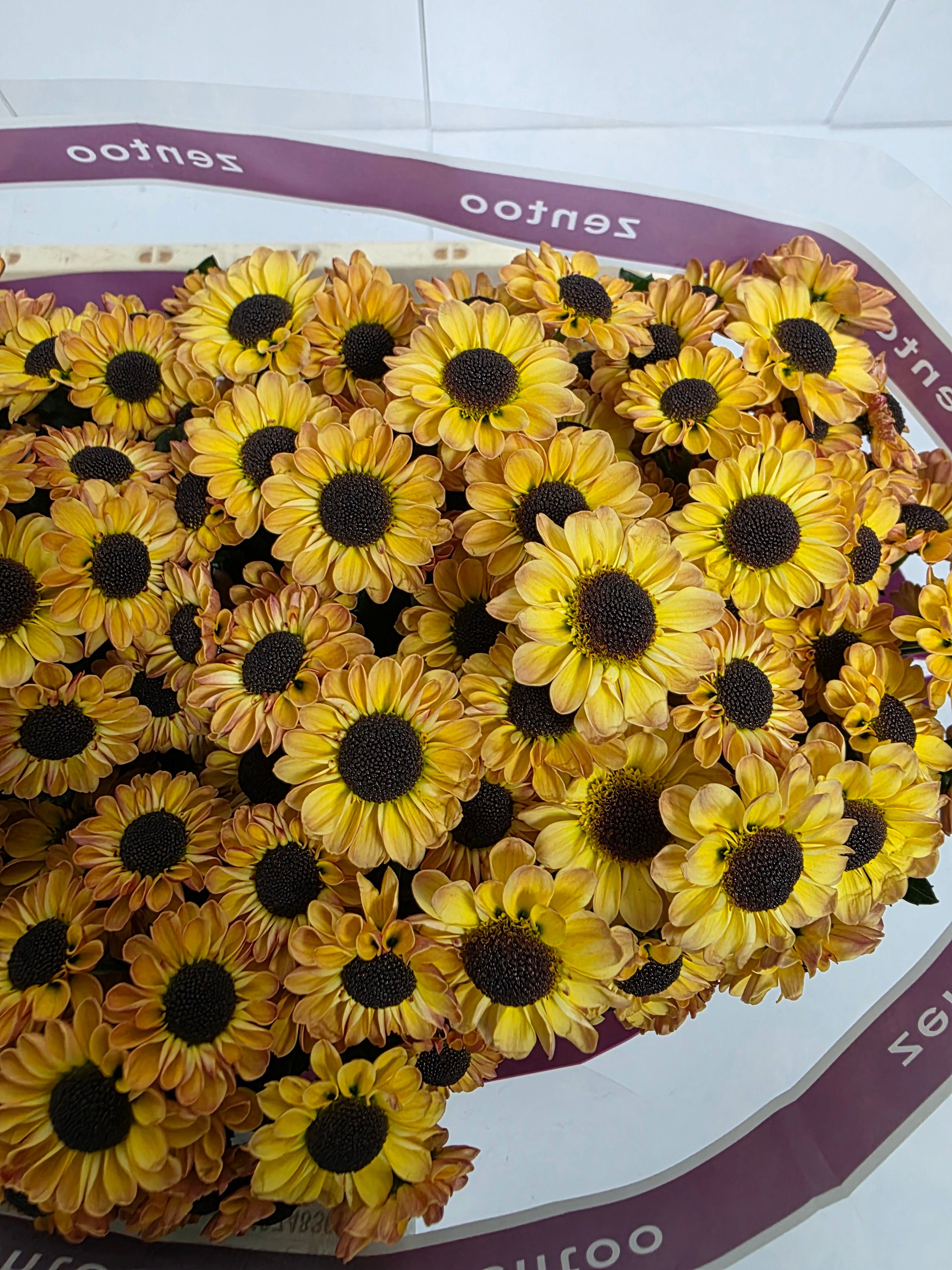 Farm Fresh Santini Yin Yang Golden (Bunch of 25 stems, Length 55cm)