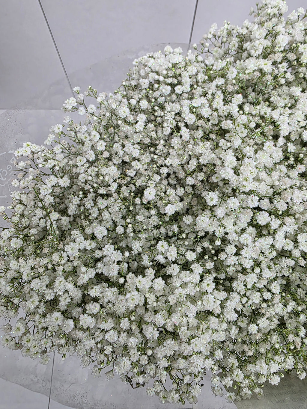 Farm Fresh Gypsophilia Million Star Naturel + Disco G(Bunch of 25stems, Length 80cm)