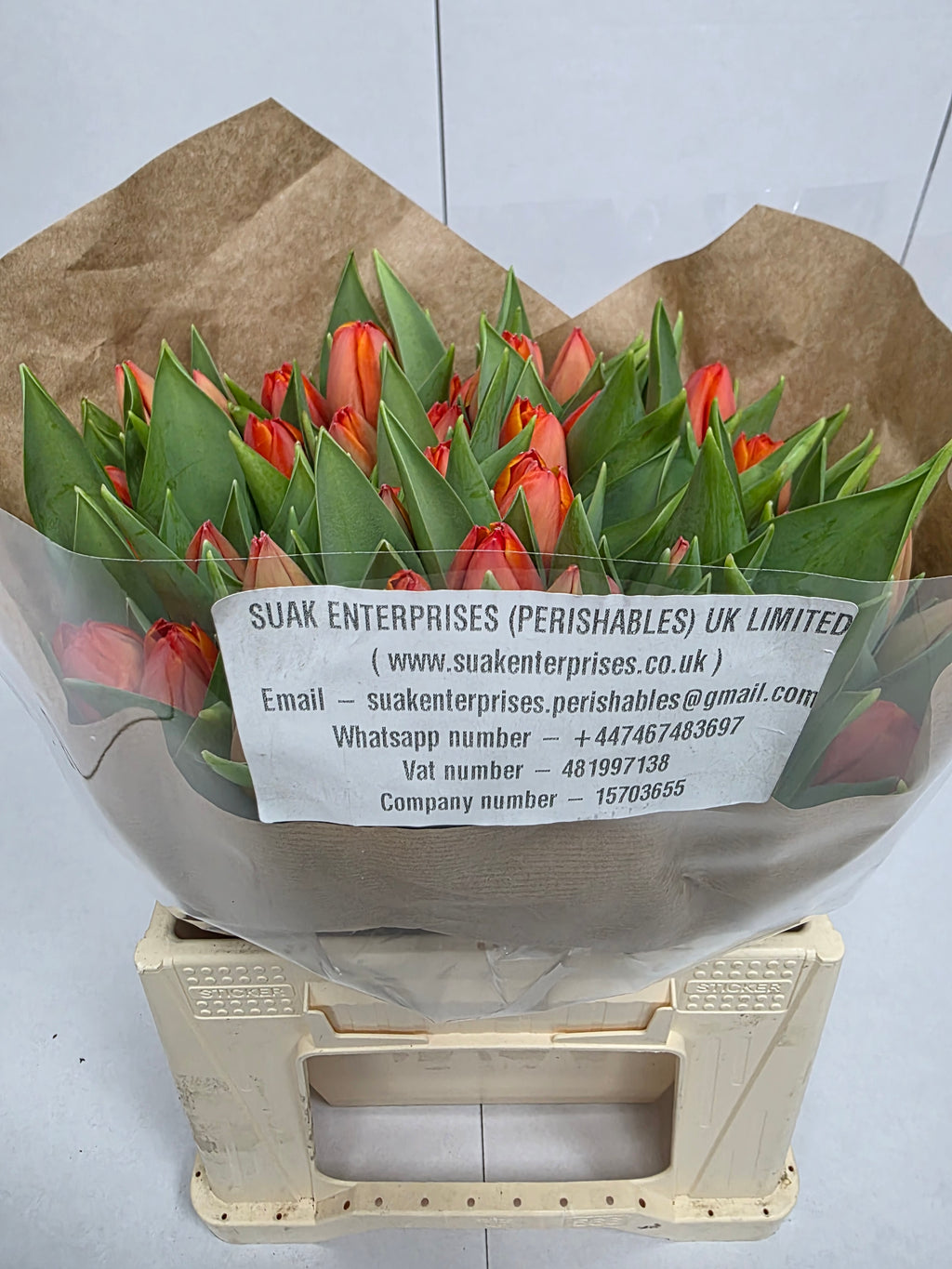 Farm Fresh Tulipa En Ad Rem( Bunch of 50stems, Length 38cm)