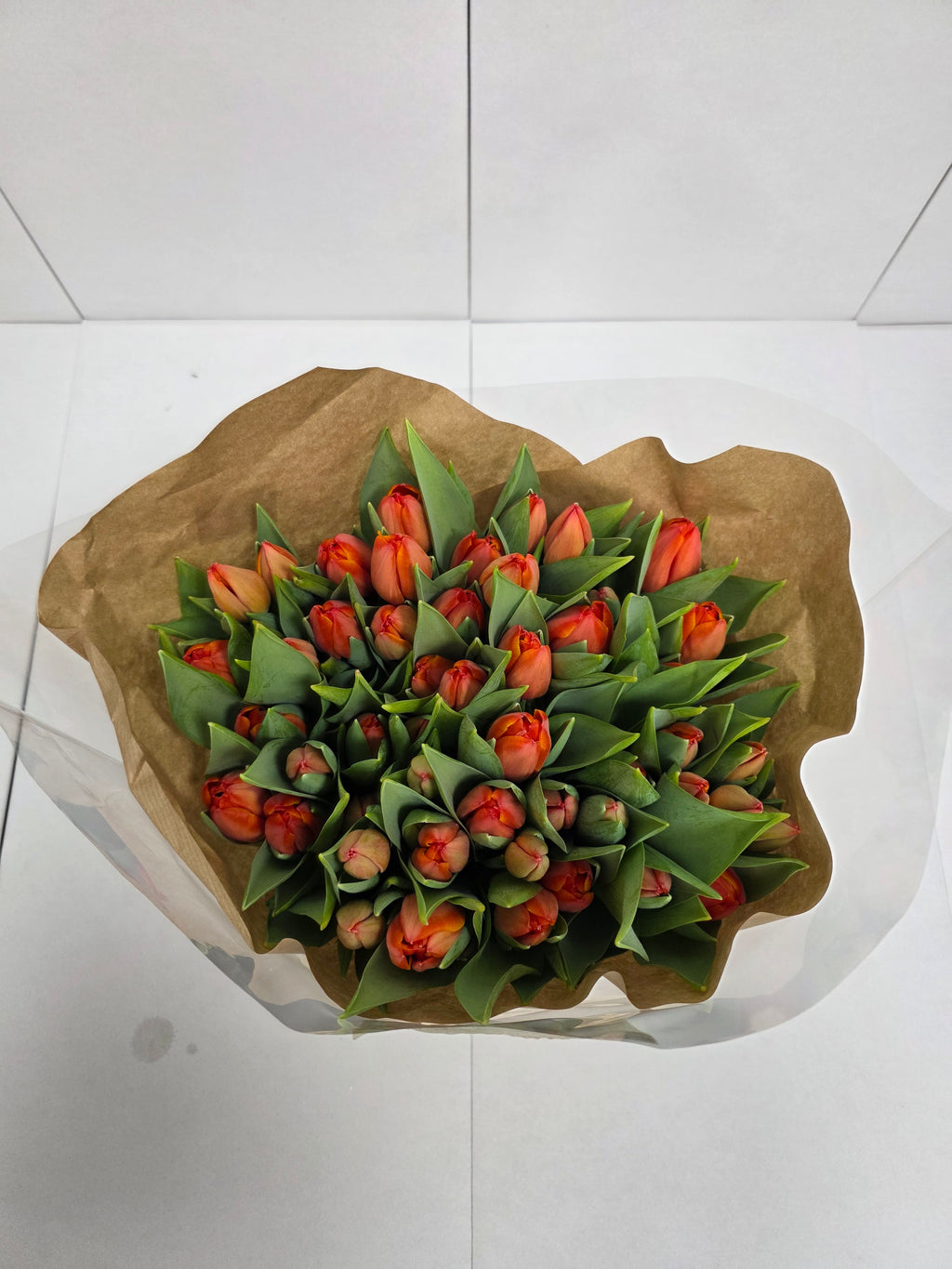Farm Fresh Tulipa En Ad Rem( Bunch of 50stems, Length 38cm)