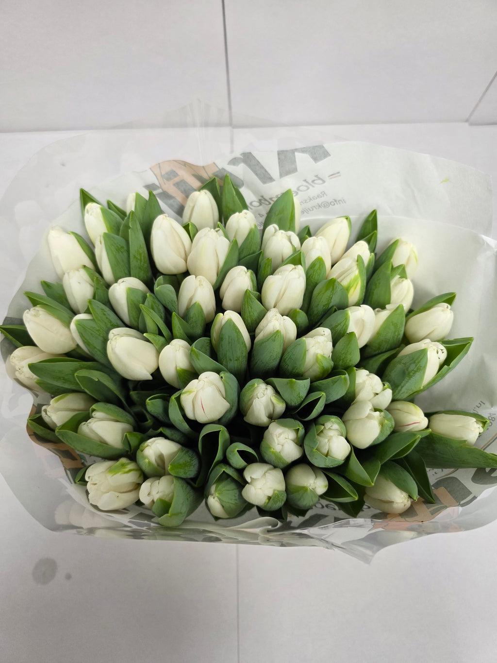 Farm Fresh Tulipa En Antartica ( Bunch of 50stems, Length 38cm)