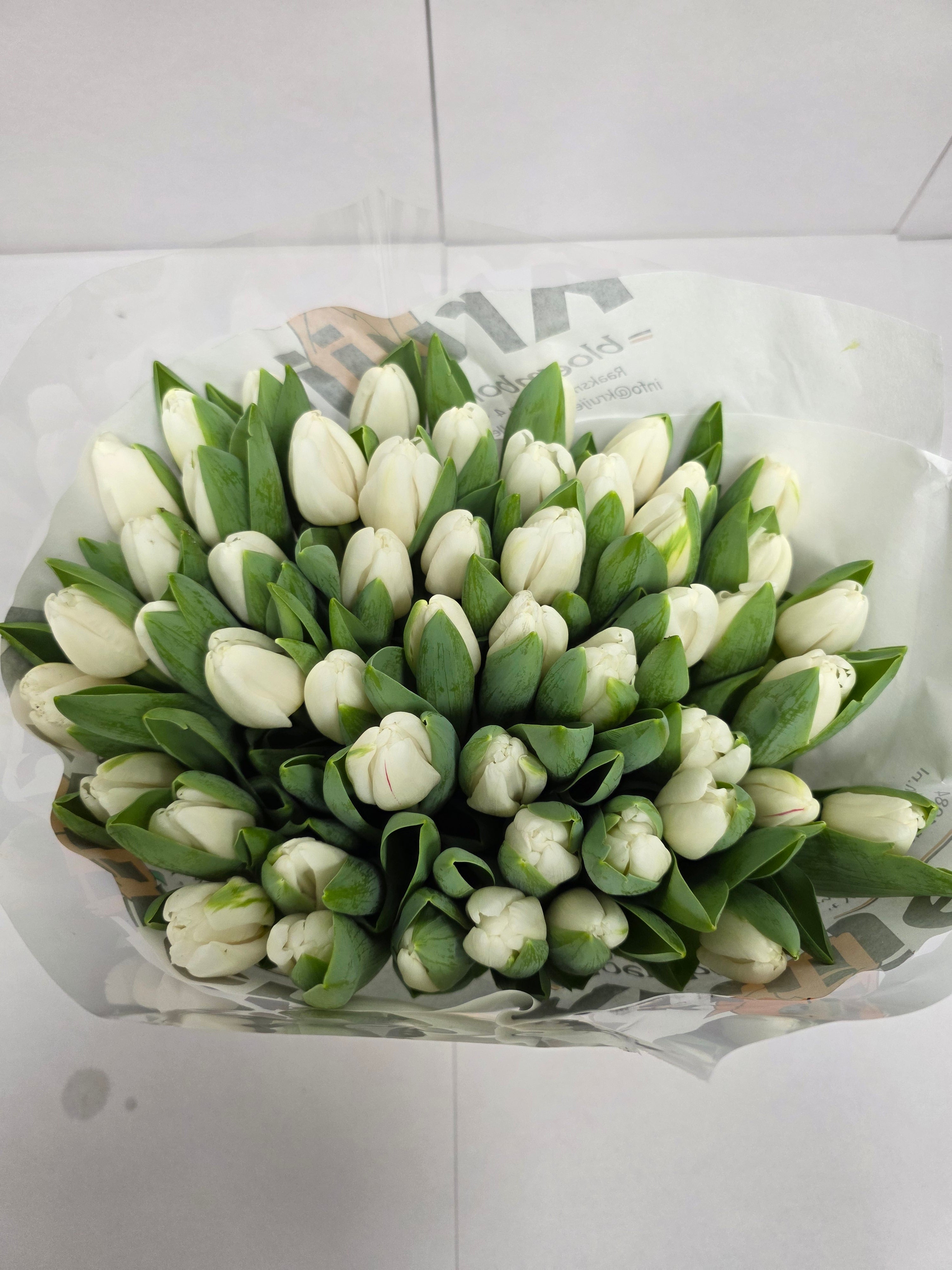 Farm Fresh Tulipa En Antartica ( Bunch of 50stems, Length 38cm)
