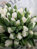 Farm Fresh Tulipa En Antartica ( Bunch of 50stems, Length 38cm)