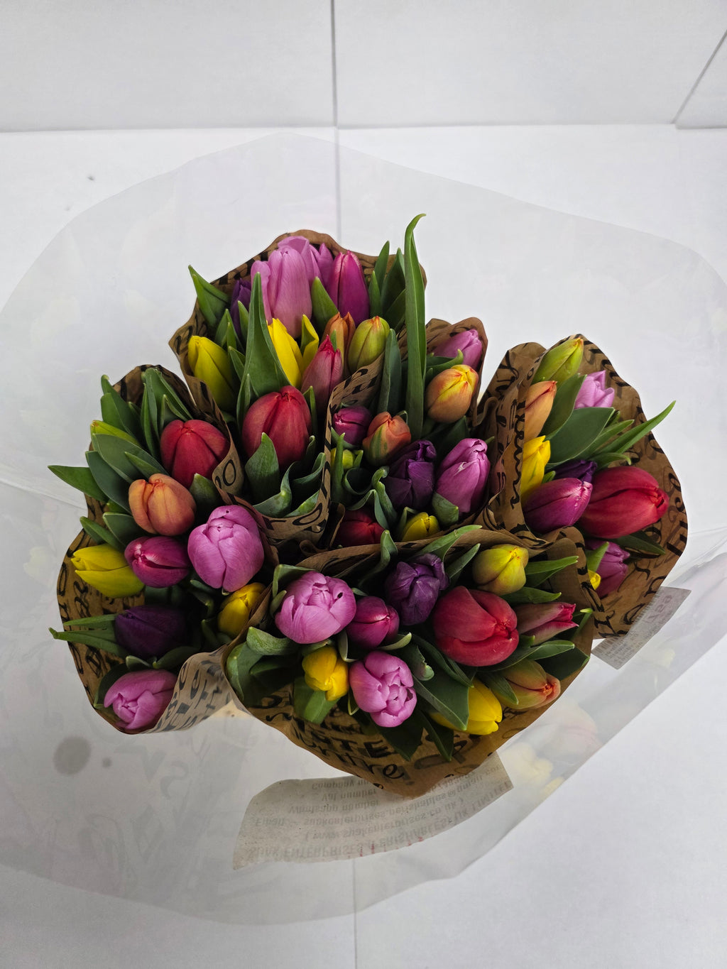Farm Fresh Tulipa En Mixed Pastel paper( Bunch of 50stems, Length 37cm)