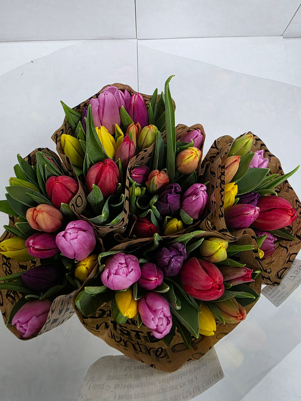 Farm Fresh Tulipa En Mixed Pastel paper( Bunch of 50stems, Length 37cm)